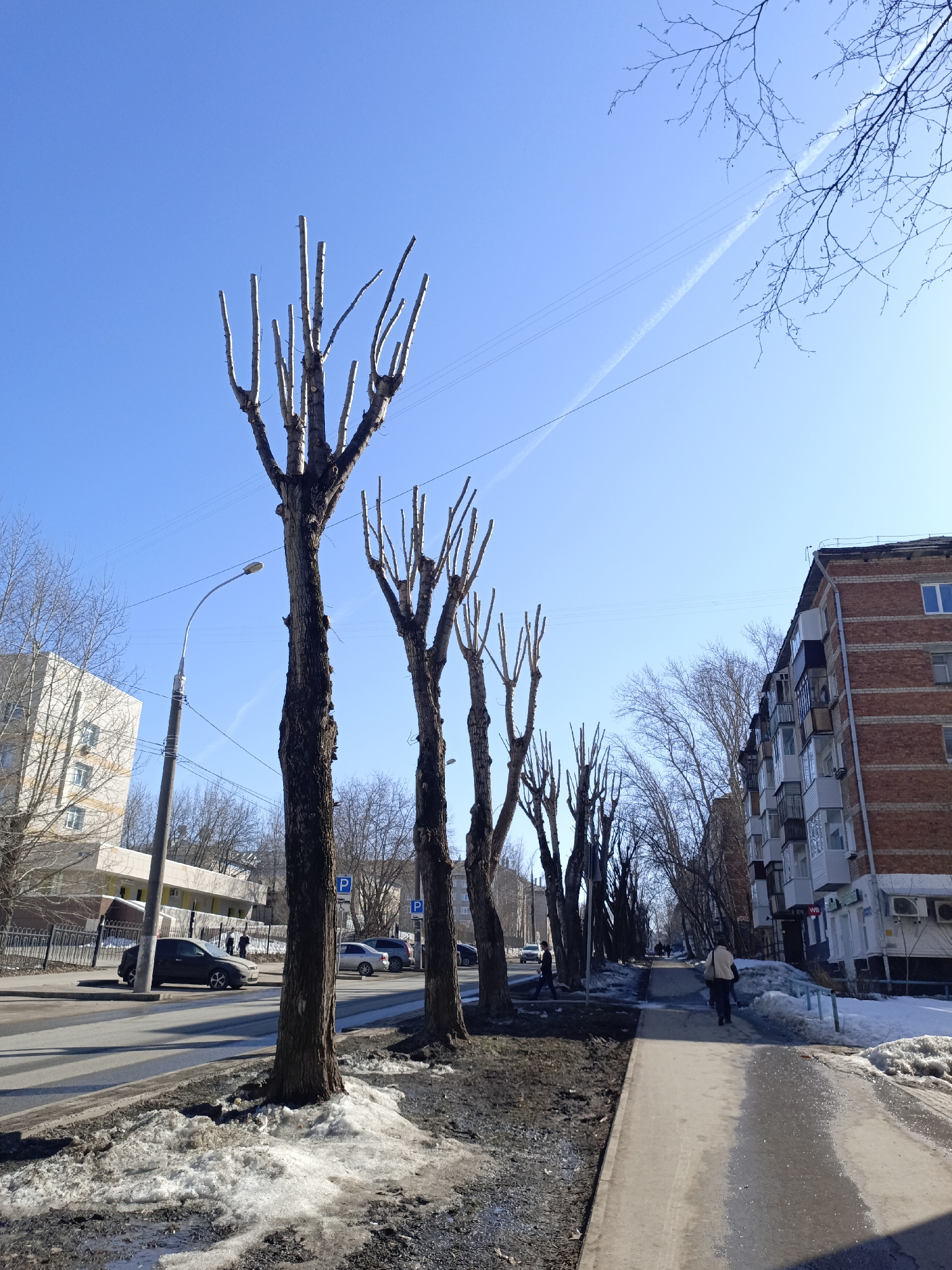 The image shows a street scene in what appears to be a residential area in Perm, Russia, based on the architecture and overall feel. It's a bright, sunny day with a clear blue sky and contrails overhead. The street is lined with deciduous trees that have been heavily pruned, leaving only their trunks and short stubs of branches. Some still have small, bare branches.
A sidewalk runs along the right side of the image, and a person is walking away from the camera. There's melting snow along the edge of the sidewalk and on the side of the road. Cars are parked along the street on the left side of the image. Parking signs are visible near the trees. Buildings are present on both sides of the street; on the left, a light-colored multi-story building and on the right, a taller brick apartment building with balconies.
The overall impression is of early spring in an urban environment, where the effects of winter are still visible but the return of warmer weather is evident.