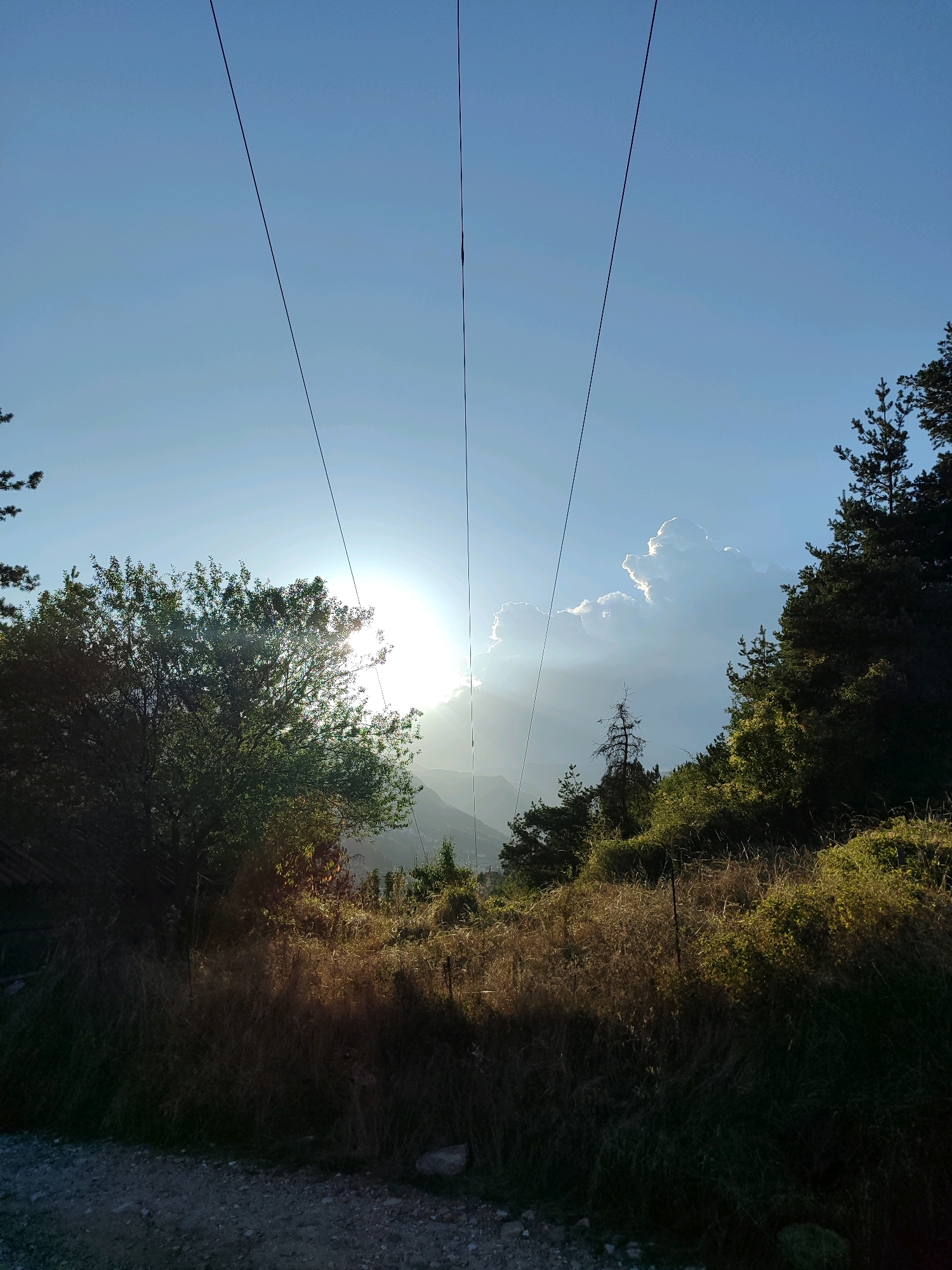 This is an outdoor, horizontal, eye-level, daytime photograph. The image captures a view of rolling hills and trees under a clear blue sky, with the sun peeking through some clouds. Three overhead cables run diagonally from the top left to the top right of the frame. The foreground features a dirt path and tall, dry grass. In the midground, there are various trees and bushes, some of which are illuminated by the sun. In the background, more trees and distant mountains are visible. The overall lighting suggests it is either early morning or late afternoon, with the sun casting a warm glow on the landscape. The scene appears to be a natural setting, possibly a rural area or a park, and is likely located in the vicinity of Smolyan, Bulgaria, a region known for its mountainous terrain and natural beauty. There are no people or animals visible in the image.