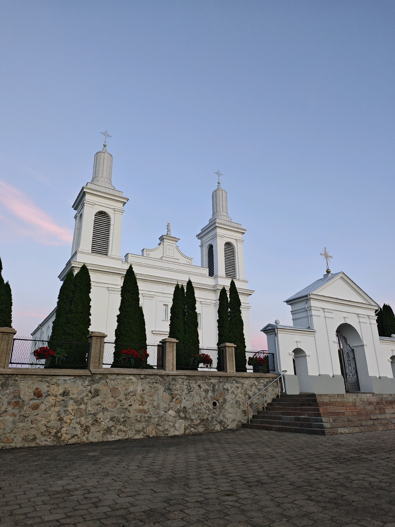 This is a photograph of the Church of St. Wenceslaus in Vawkavysk, Belarus, taken at dusk. The white church has two bell towers with crosses on top. In front of the church, there is a stone wall with a fence, cypress trees, and red flowers. A paved courtyard with stone steps leads to the church entrance. The sky is a pale blue with a hint of pink clouds.