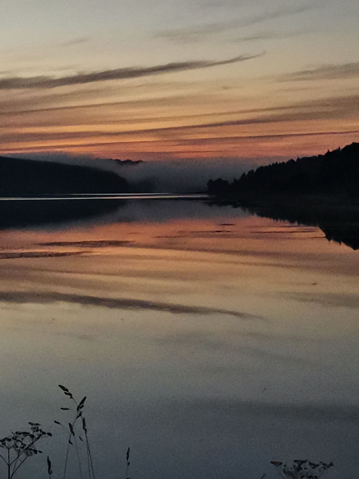 This image depicts a tranquil lake scene at sunset, with a shoreline of silhouetted trees. The sky displays a gradient of colors, from pale yellow at the top to orange and pink hues near the horizon. Wisps of clouds are visible, their reflections mirrored in the calm water. In the foreground, a few blades of grass and some dried plant stalks are visible on the lake's edge. The overall impression is one of peacefulness and natural beauty. The location is stated to be Alexandrovsk, Russia, though specific landmarks within the city are not identifiable from the image itself.