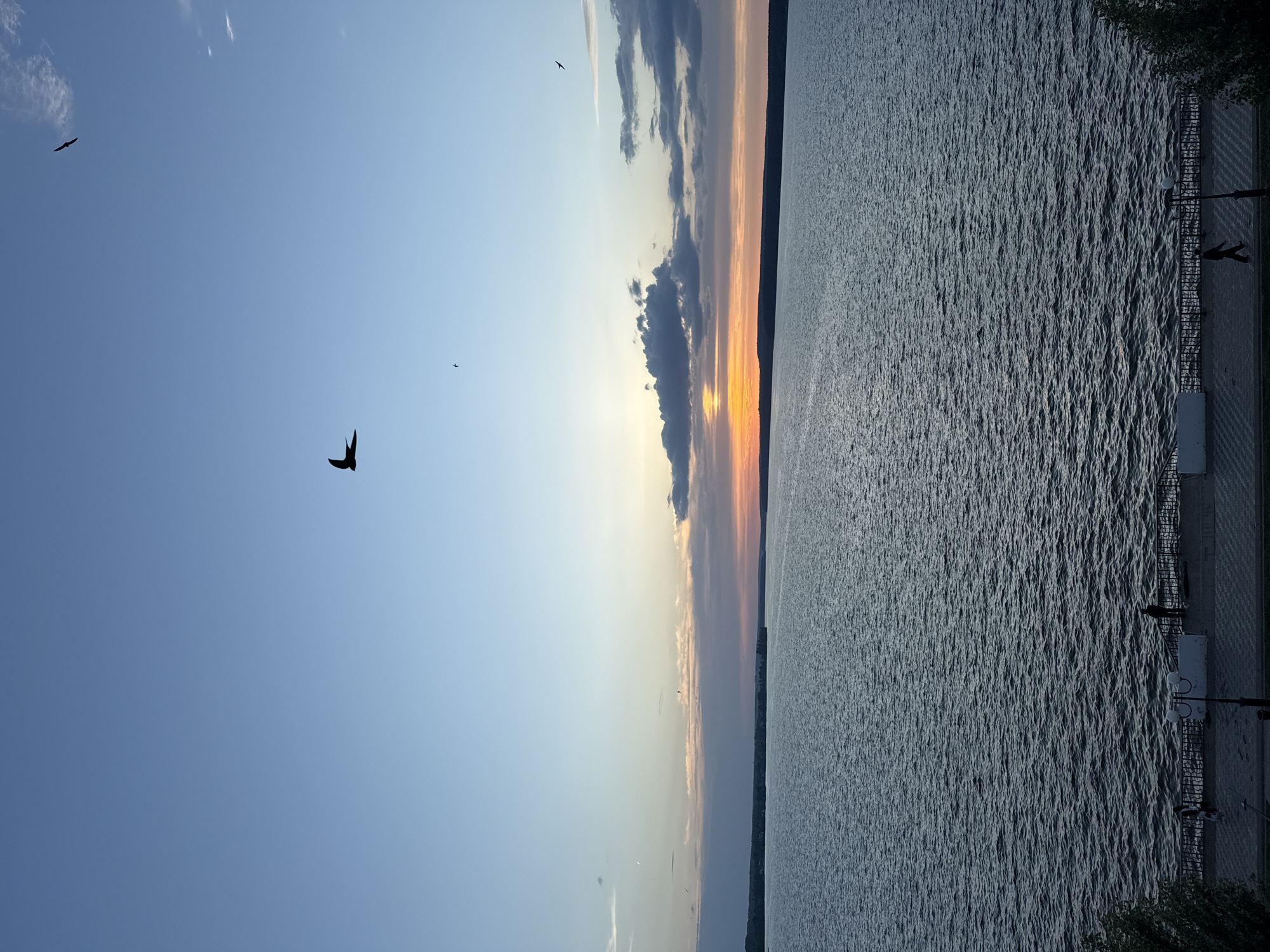 The image presents a horizontal view of the Votkinsk reservoir at sunset. Three birds are visible in the clear sky on the left side of the frame. The sun is setting behind clouds in the middle, casting orange and yellow hues. The right side of the image shows the water with small ripples, as well as a boardwalk or pathway with vegetation along the edge. Street lamps can be seen along the boardwalk. The orientation of the image is on its side, rotated 90 degrees clockwise.