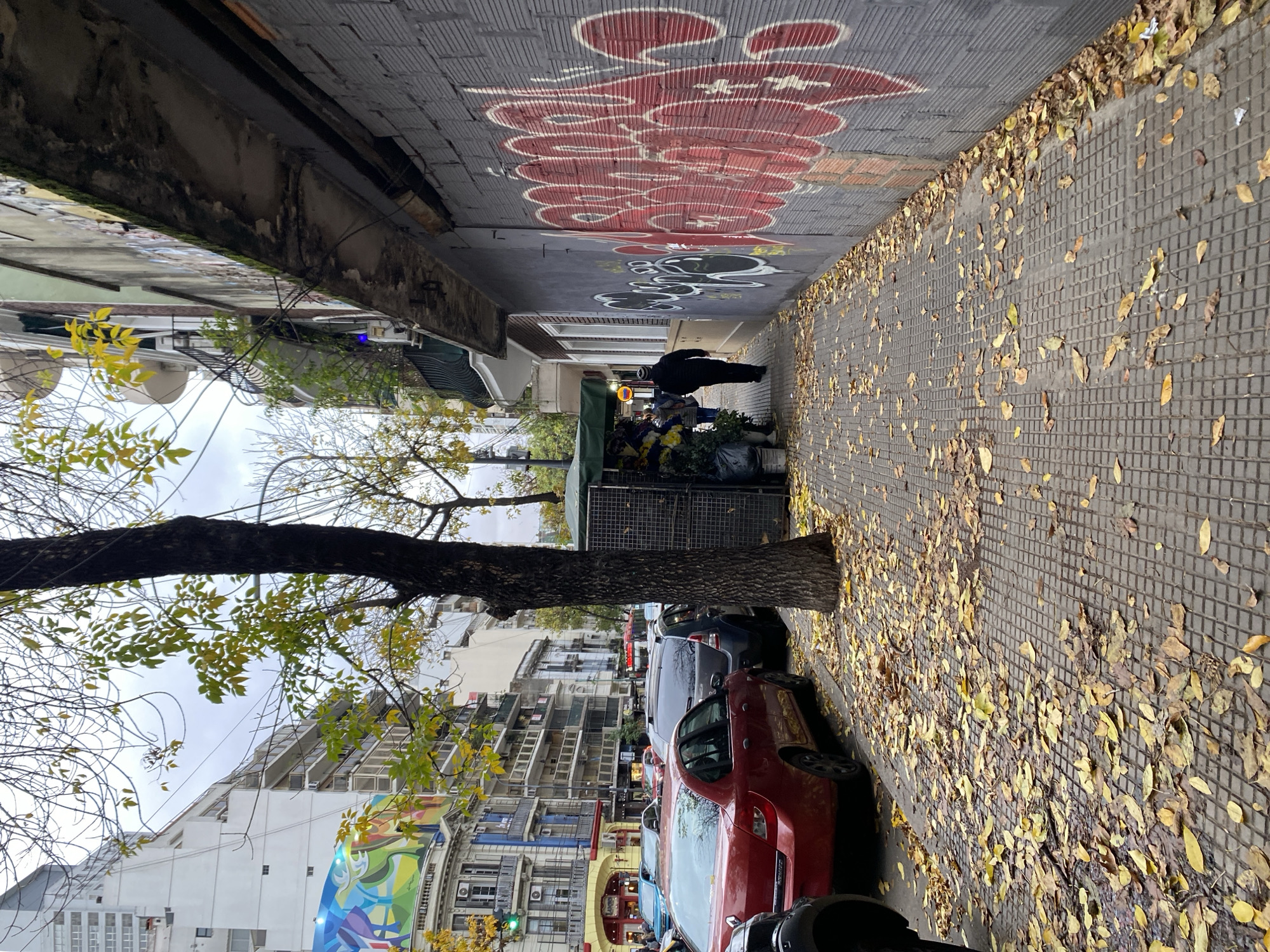 The image captures a street scene in Buenos Aires, Argentina, likely during autumn given the fallen yellow leaves scattered on the sidewalk. The shot is taken along a narrow sidewalk flanked by buildings on either side. A flower stall, attended by a person in dark clothing, stands by the sidewalk. Parked cars, including a red one, line the street next to the sidewalk, with a tree trunk partially obscuring them. The buildings across the street feature colorful facades and murals. Graffiti adorns the wall on the right side of the frame. The sky is overcast, casting a soft light over the scene. The sidewalks are paved with a tiled pattern.