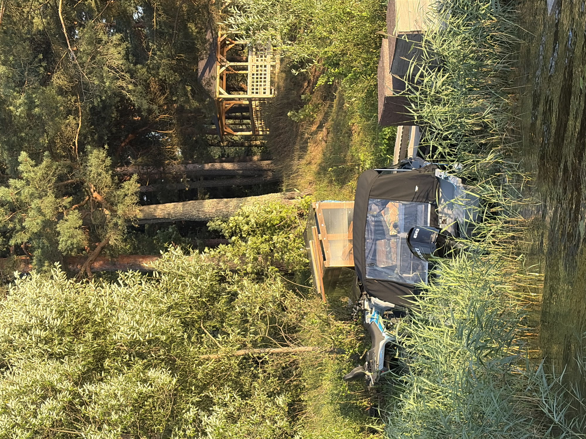 In Vidogoshchi, Russia, a calm body of water is bordered by dense reeds and tall trees. A small boat with a black canopy is moored at the edge, partially obscured by the reeds. Next to the boat, an all-terrain vehicle with a blue and white design is parked on the grassy bank. Further inland, a wooden gazebo stands on a raised grassy area, surrounded by trees. Two dark, rectangular objects, possibly storage containers or seating, are positioned on the bank near the boat. The scene is bathed in the warm light of what appears to be late afternoon or early morning.