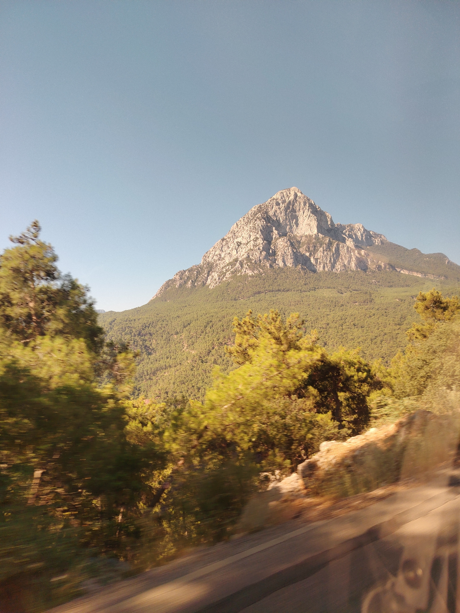 The image displays a majestic mountain range dominating the background, with a prominent peak piercing the clear, pale blue sky. The mountain is sparsely vegetated at its summit, revealing rocky, exposed surfaces. The lower slopes of the mountains are densely covered with a thick carpet of dark green pine trees, suggesting a mountainous forest landscape. In the foreground, lush green trees with blurred motion streaks indicate movement, likely from a vehicle. The ground in the lower right corner appears to be a road or pathway, also exhibiting motion blur. The scene suggests a natural, mountainous environment with hints of human passage. This scene is characteristic of the natural beauty found in the Konyaaltı district of Antalya, Turkey, known for its mountainous terrain meeting the Mediterranean coast.