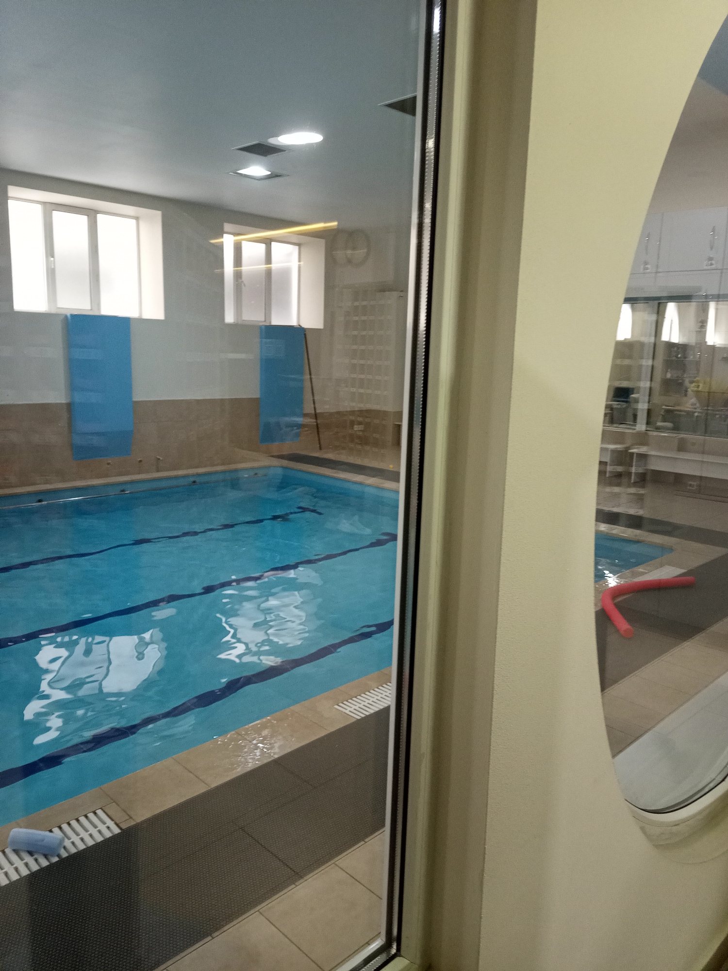 The image shows an indoor swimming pool. The pool is rectangular with blue lane markers visible on the bottom. The water is clear and blue, with reflections on the surface. The pool area is tiled with beige and brown tiles. There are blue rectangular mats on the wall above the pool. On the right side of the image, a pink pool noodle is visible on the tiled deck.
The scene appears to be well-lit with overhead lighting, suggesting it could be any time of day. The overall atmosphere seems calm and functional, typical of a public or private swimming facility. The photo is taken from behind a glass partition, which creates reflections of another room on the right side of the image. This other room contains white shelving units and what appear to be lockers or cabinets. A curved architectural element, painted beige, is prominent in the foreground on the right, obscuring part of the view into the adjoining room. There is no visible text in the image.