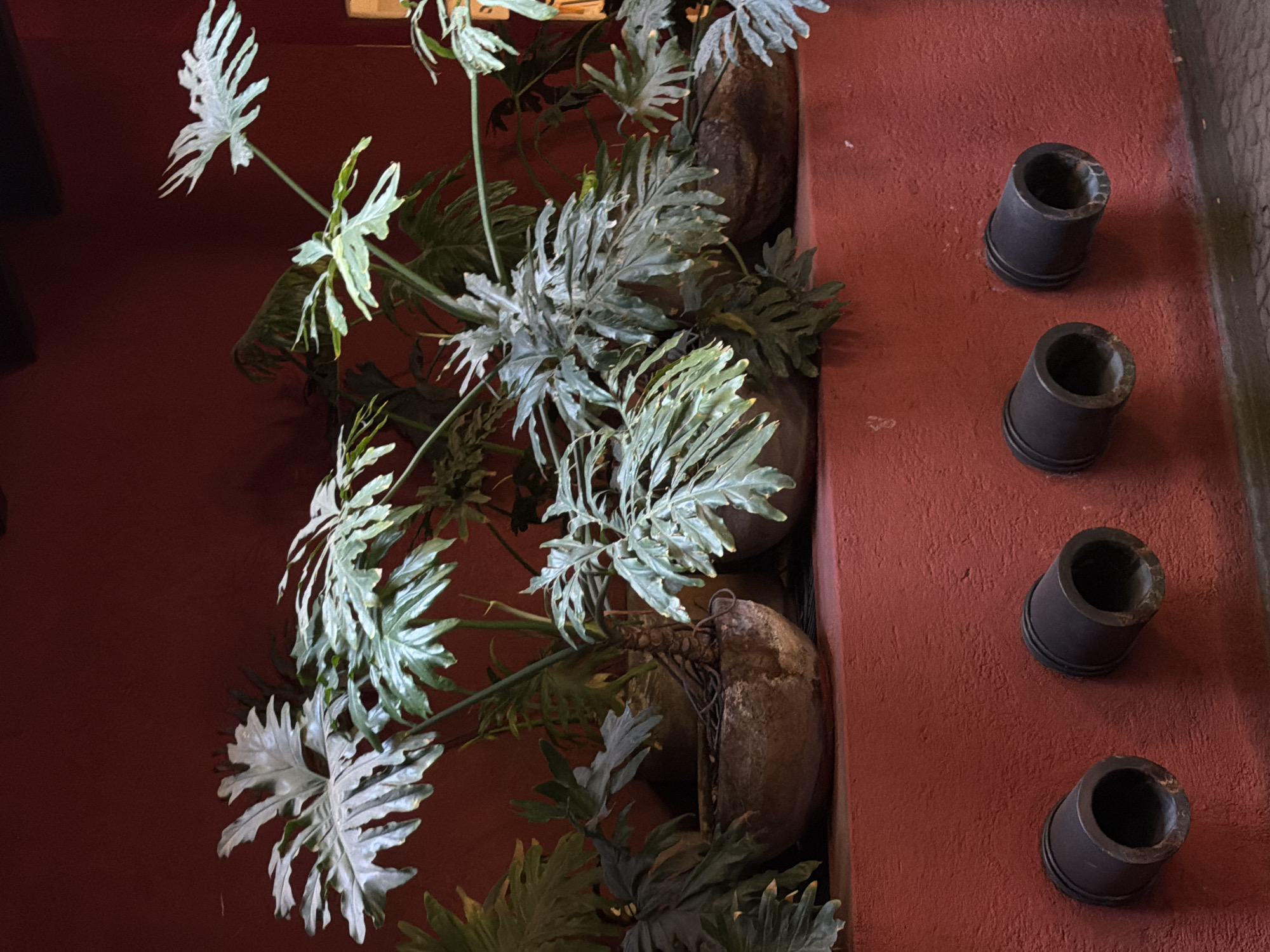 The photograph depicts an indoor setting in Puebla, Mexico, showcasing an architectural and botanical arrangement against a red wall. On the right, four cylindrical dark-colored objects, possibly candle holders or decorative elements, are affixed to the wall in a vertical row. To the left, large-leafed plants with deeply lobed foliage cascade from what appears to be large, rounded planters or containers. The overall aesthetic suggests a blend of natural elements with rustic architectural design. The lighting in the scene is subdued, creating soft shadows and enhancing the textures of the wall and the plants.