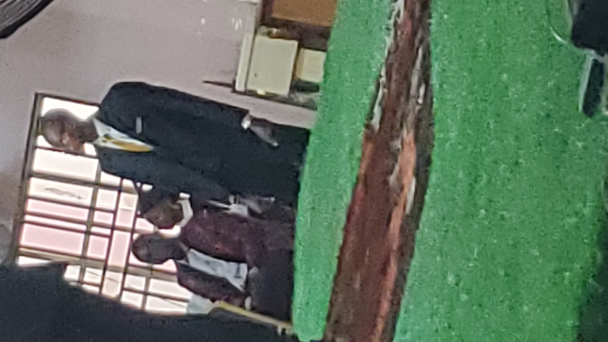 A man in a black suit and yellow tie stands in front of a window with vertical blinds, looking to his right. Two people are seated behind him, partially obscured. A wooden bench with a brown cushion is in the foreground, covered with a green material. A building with a light-colored wall is to the right of the man, with a beige electrical box mounted on it. The scene appears to be indoors, possibly in Jalingo, Nigeria, given the context.