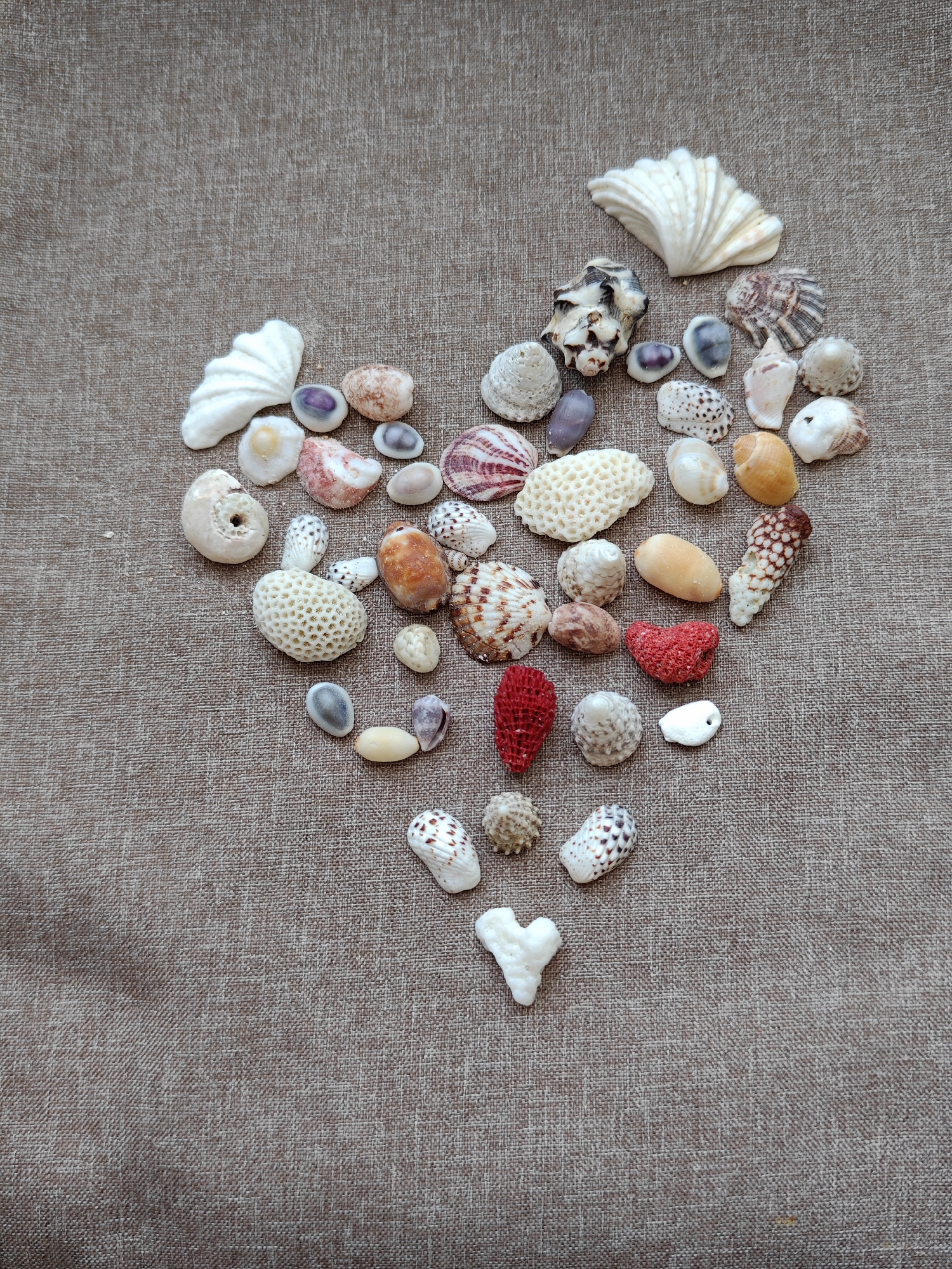 The image shows a collection of seashells arranged in a rough heart shape on a textured, neutral-colored background. The seashells vary in size, shape, color, and texture. The background appears to be a woven fabric. The location is unknown, and no people, actions, or interactions are visible.