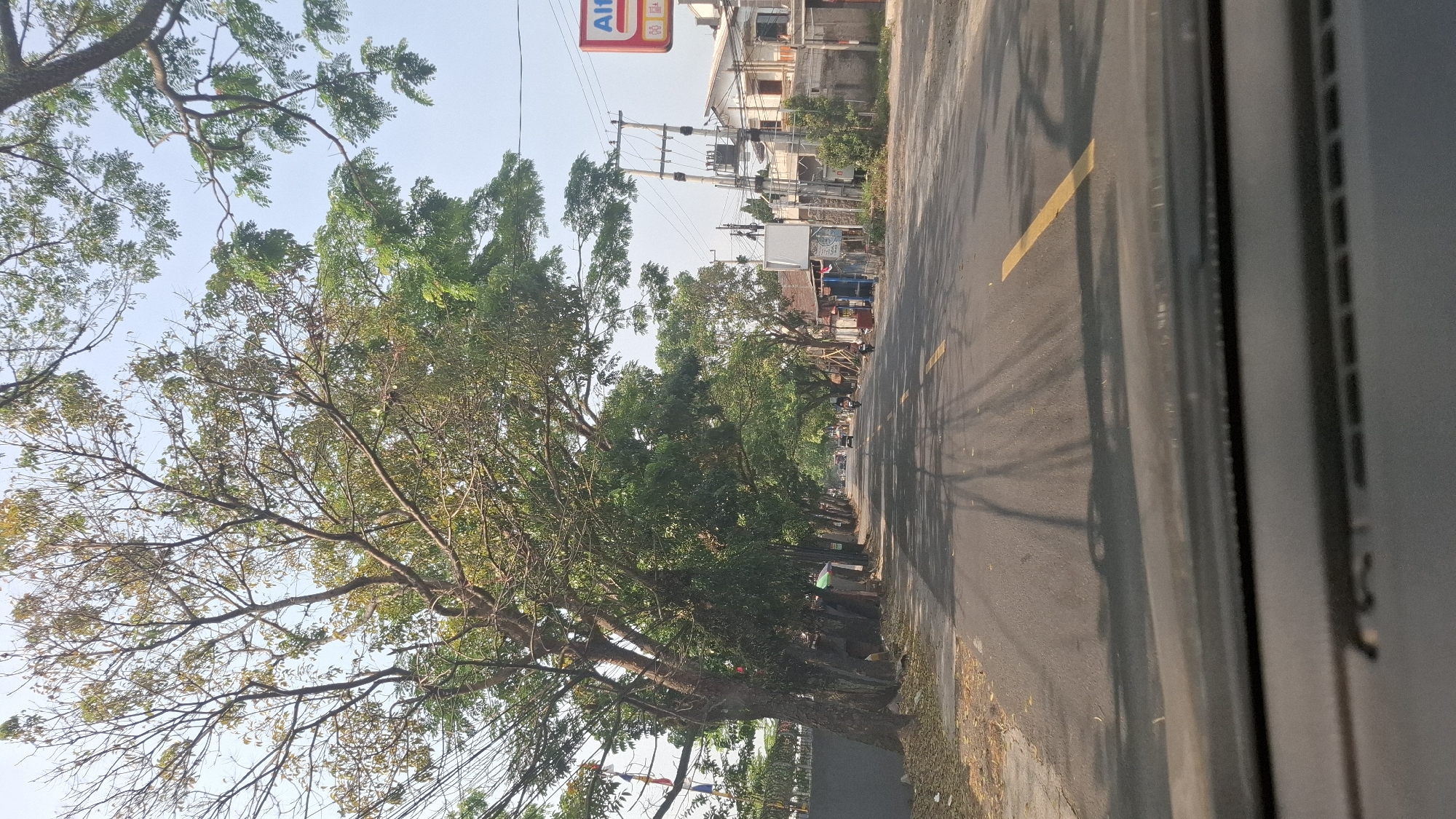The image depicts a street scene in Warungkondang, Indonesia, characterized by a paved road lined with mature trees whose branches overhang the asphalt, casting shadows. The road features a yellow line marking. On the right side of the road, there are buildings, utility poles with electrical wires, and a sign for "Alf". Vehicles, including a motorcycle, are visible on the road, suggesting it is a public thoroughfare. The environment appears to be a relatively sunny day. The photograph is taken from inside a vehicle, with the dashboard visible in the foreground.