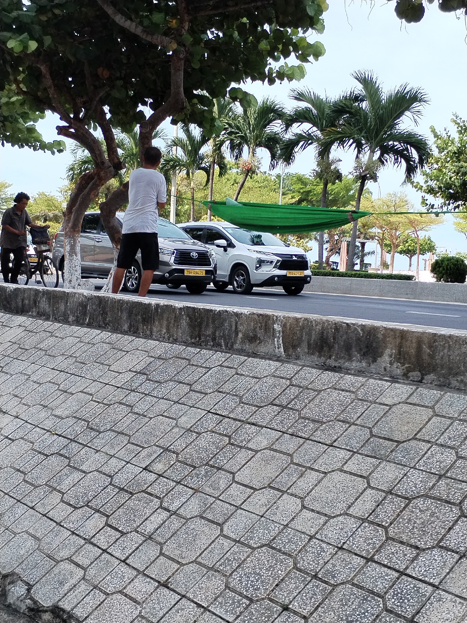 Two individuals are observed near a street lined with palm trees and lush vegetation. One person, wearing a dark short-sleeved shirt and dark pants, stands beside a bicycle, seemingly engaged in conversation or attending to it. The other individual, in a white t-shirt and black shorts, stands facing away from the camera, their posture suggesting they are observing something across the street.
The street itself features two cars: a silver SUV with a yellow license plate, and a white crossover vehicle also with a yellow license plate, positioned behind it. A green hammock is strung between two unseen points, visible in the background, adding a recreational element to the scene. The foreground consists of a textured stone pathway bordering a concrete retaining wall. The overall environment suggests a coastal urban setting, likely in a Vietnamese city like Nha Trang, given the characteristic palm trees and the presence of vehicles with yellow Vietnamese license plates. The sky is a light blue, indicating daytime.