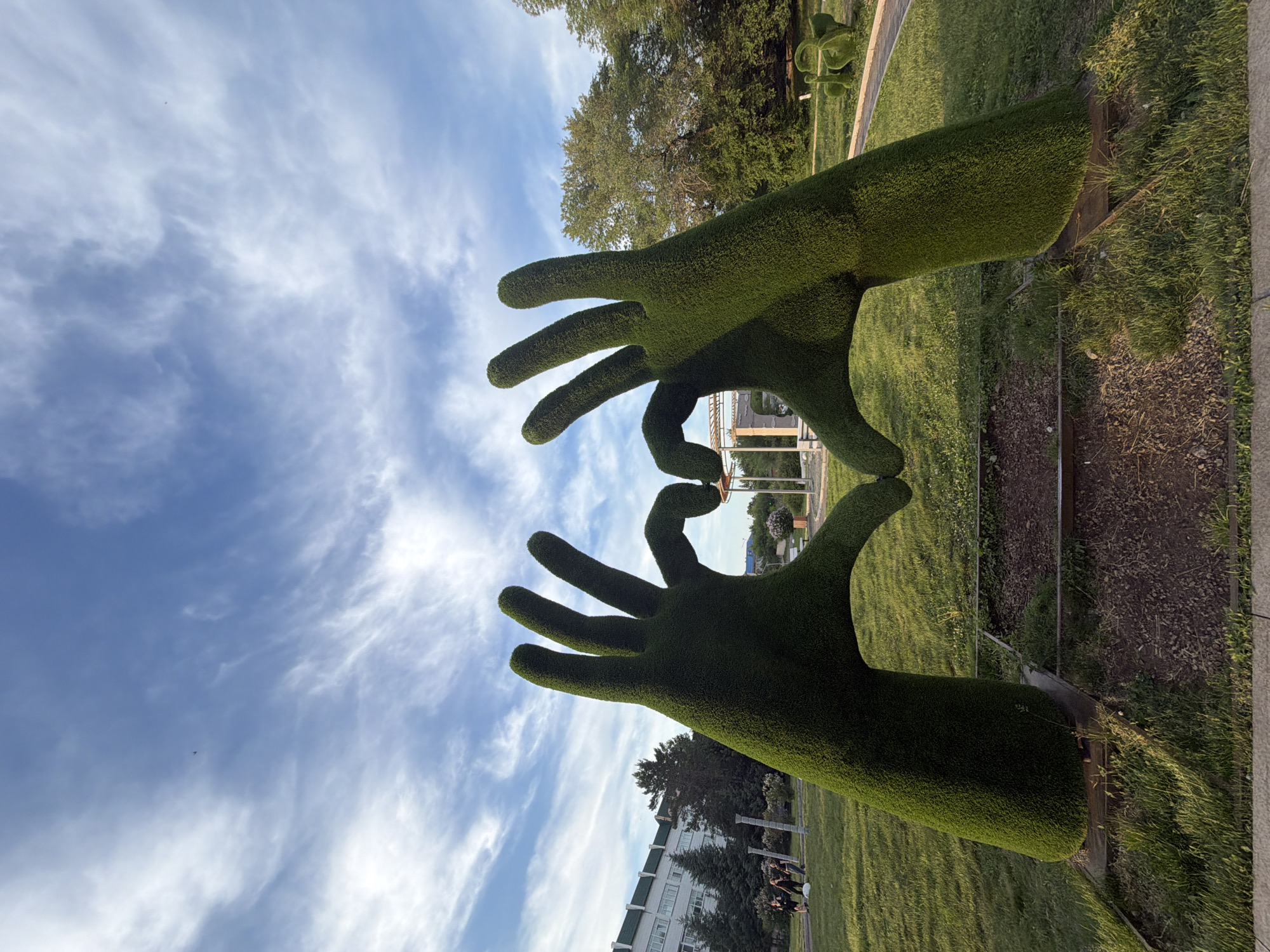 This is a wide-angle, eye-level shot of two large, green topiary sculptures shaped like human hands forming a heart symbol. The sculptures are positioned in the foreground, with their bases on the ground, supported by wooden planks. The hands are covered in meticulously trimmed green material, resembling grass or moss, giving them a lush appearance.
In the background, a pathway curves to the right, bordered by green grass. Beyond the pathway, trees with dense green foliage are visible, along with a building that appears to be several stories high and white or light-colored. The sky above is blue with scattered, wispy white clouds, suggesting it is daytime.
To the left of the frame, a few people are walking on the grass. Their figures are small in comparison to the dominant hand sculptures. One person is wearing dark clothing and carrying what appears to be a white object. Another person is wearing lighter-colored clothing.
Further to the right, in the middle ground, there are some smaller green topiary sculptures, one of which resembles a small animal or object. A portion of a white structure, possibly a gazebo or part of a park amenity, is visible between the two hands.
The scene is set in a park or outdoor public space, likely in Birobidzhan, Russia, as indicated by the user's prompt. The lighting suggests it is either late afternoon or early morning, with the sun casting gentle shadows. The overall atmosphere is calm and picturesque.
