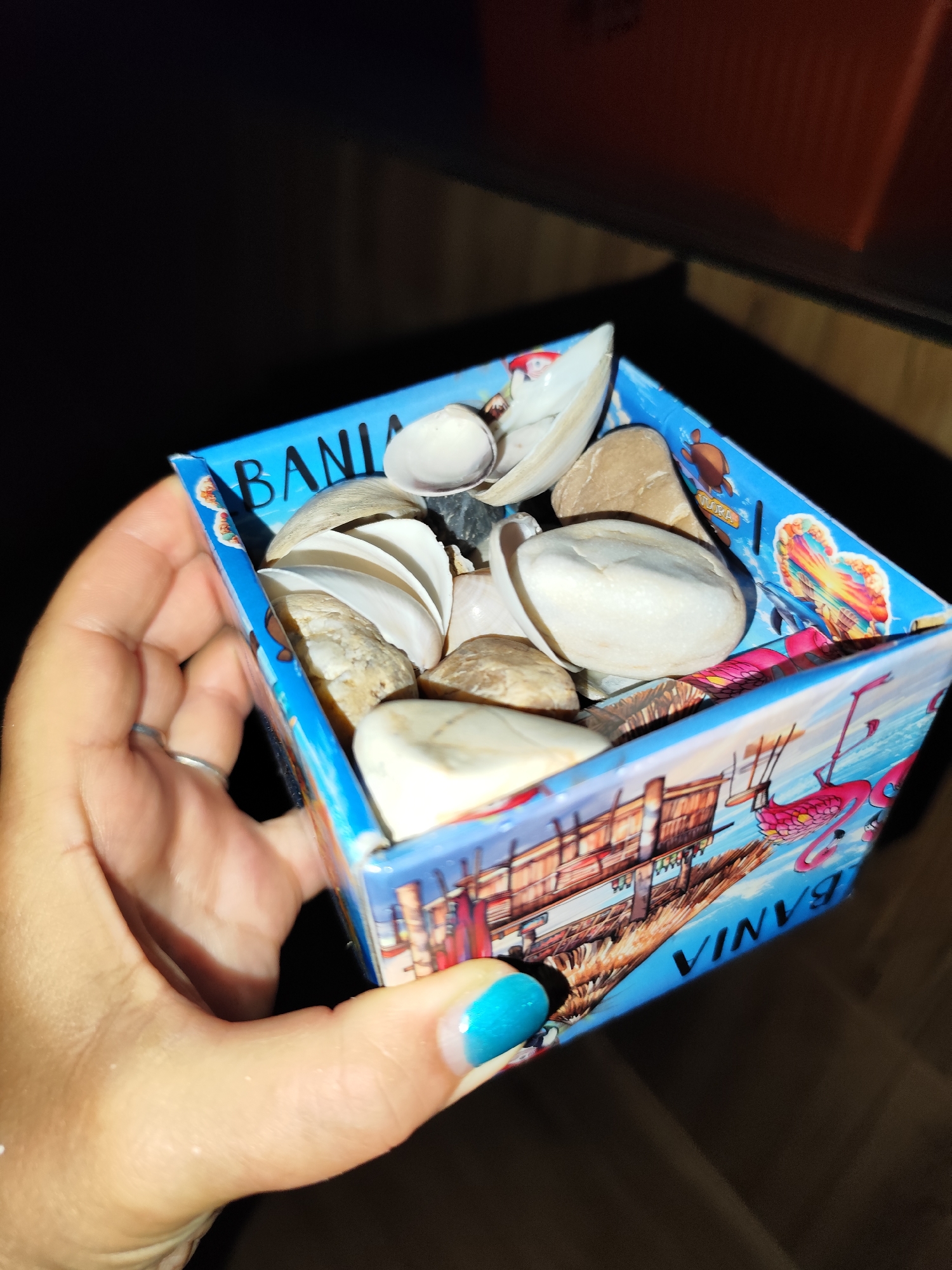 A hand with a ring on the index finger and bright blue fingernail polish holds a small, blue cardboard box decorated with a tropical scene including palm trees, buildings, and flamingos. The box is filled with various seashells and smooth, light-colored stones. The word "BANIA" is visible in black lettering on the side of the box. The background is dark and blurred, suggesting an indoor setting with low lighting. There is no indication of the city of Montana, Bulgaria, in the image.