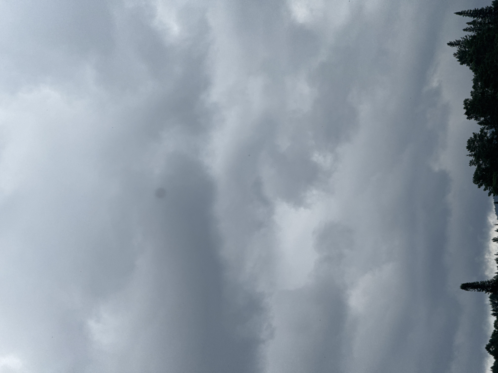 The image depicts a cloudy sky over a treeline, characteristic of the natural landscape in or around Усть-Мана, Russia. The sky is filled with heavy, gray clouds, suggesting overcast weather conditions. The clouds are dense and appear to be low-lying, with some variations in shading indicating different thicknesses and formations. A faint, circular anomaly is visible in the upper portion of the sky, possibly a lens flare or a defect in the image. Below the sky, a dense line of dark green coniferous trees forms the horizon. The trees are silhouetted against the lighter sky, with some individual tree shapes, including a tall, prominent pine tree, discernible. The scene is devoid of any people, structures, or clear evidence of human activity, presenting a purely natural, atmospheric view.