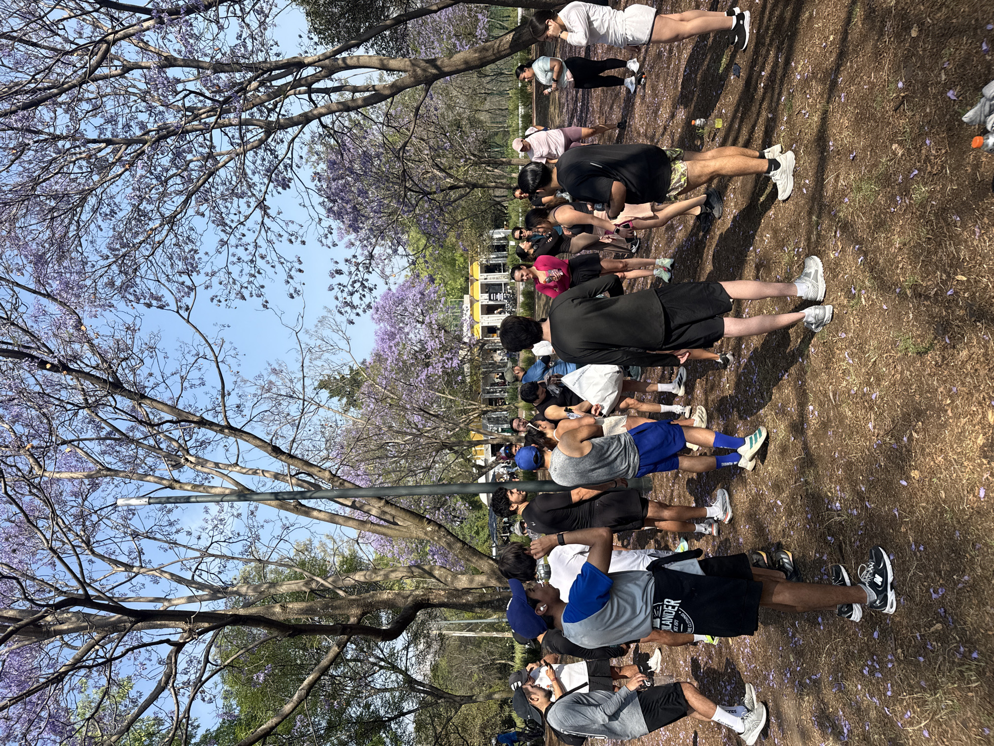 A group of people in athletic attire stand on brown grass amidst trees with purple flowers. The scene is in Mexico City, Mexico. The group of people are lined up and appear to be in a fitness class. The ground is covered in fallen purple petals. The sky is blue.