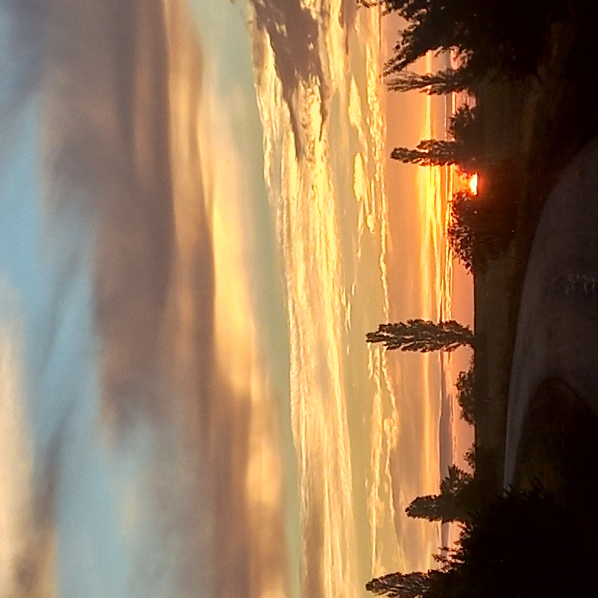 This is a landscape photograph taken at dusk. The sky is filled with dramatic clouds, painted in hues of orange, yellow, and blue. The setting sun is visible as a bright glow on the horizon, peeking through the trees. Silhouetted trees and foliage line the foreground, with a winding road leading into the distance. The image captures a serene and picturesque moment. The location is the city of Kropyvnytskyi, Ukraine.