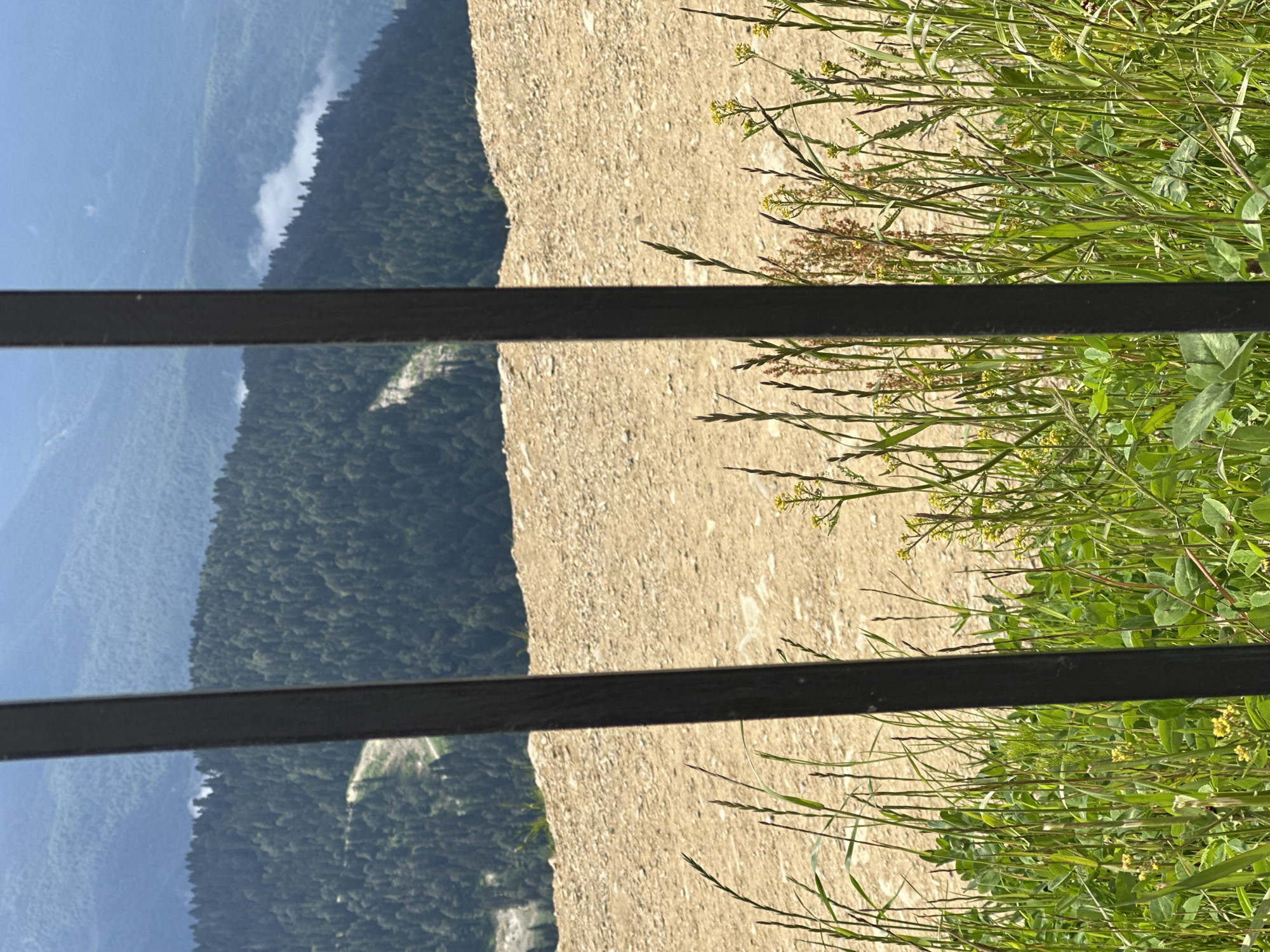 A view of the mountainous landscape of Estosadok, Russia, is captured through a dark, vertical railing. In the foreground, lush green grass with small yellow flowers grows. Behind the railing, a barren, light brown slope stretches upwards, leading to a dense, dark green forest covering the mountainside. Further in the distance, more layers of mountains fade into a hazy blue sky, with a few wisps of white clouds. The overall impression is of a natural, high-altitude environment.
