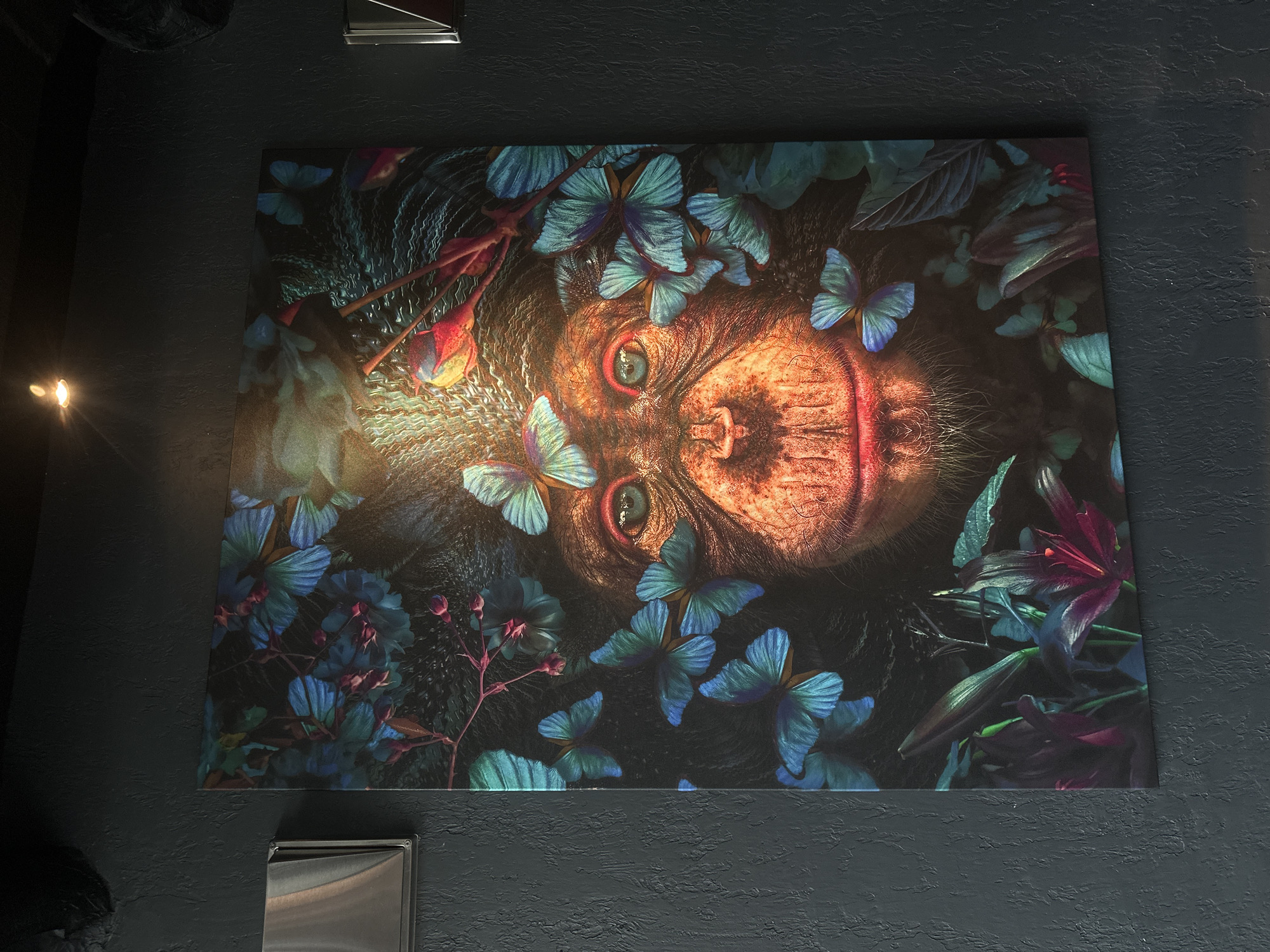 The media file is a photograph of a framed artwork hanging on a textured, dark gray wall. The artwork itself is a surreal, dark fantasy depiction of a chimpanzee's face surrounded by vibrant blue butterflies and exotic, dark flora. The chimpanzee's face is centered in the frame, with its eyes staring directly at the viewer. The lighting casts a dramatic glow on the artwork, highlighting the details of the chimpanzee's fur and the delicate wings of the butterflies. The overall mood of the artwork is mysterious and captivating.
In the background of the photograph, a small, metallic light fixture is visible on the wall to the left of the artwork, casting a warm, bright light onto the wall and slightly onto the edge of the artwork. Above the artwork, a rectangular ventilation grate is visible, suggesting an indoor setting. The wall's texture appears rough, possibly a stucco or concrete finish. The scene is dimly lit, with the primary light source appearing to be the wall-mounted fixture and potentially ambient light reflecting off the artwork itself. No text is visible in the image. The context of Moscow, Russia is provided, but there are no specific visual cues within the image to confirm this location.