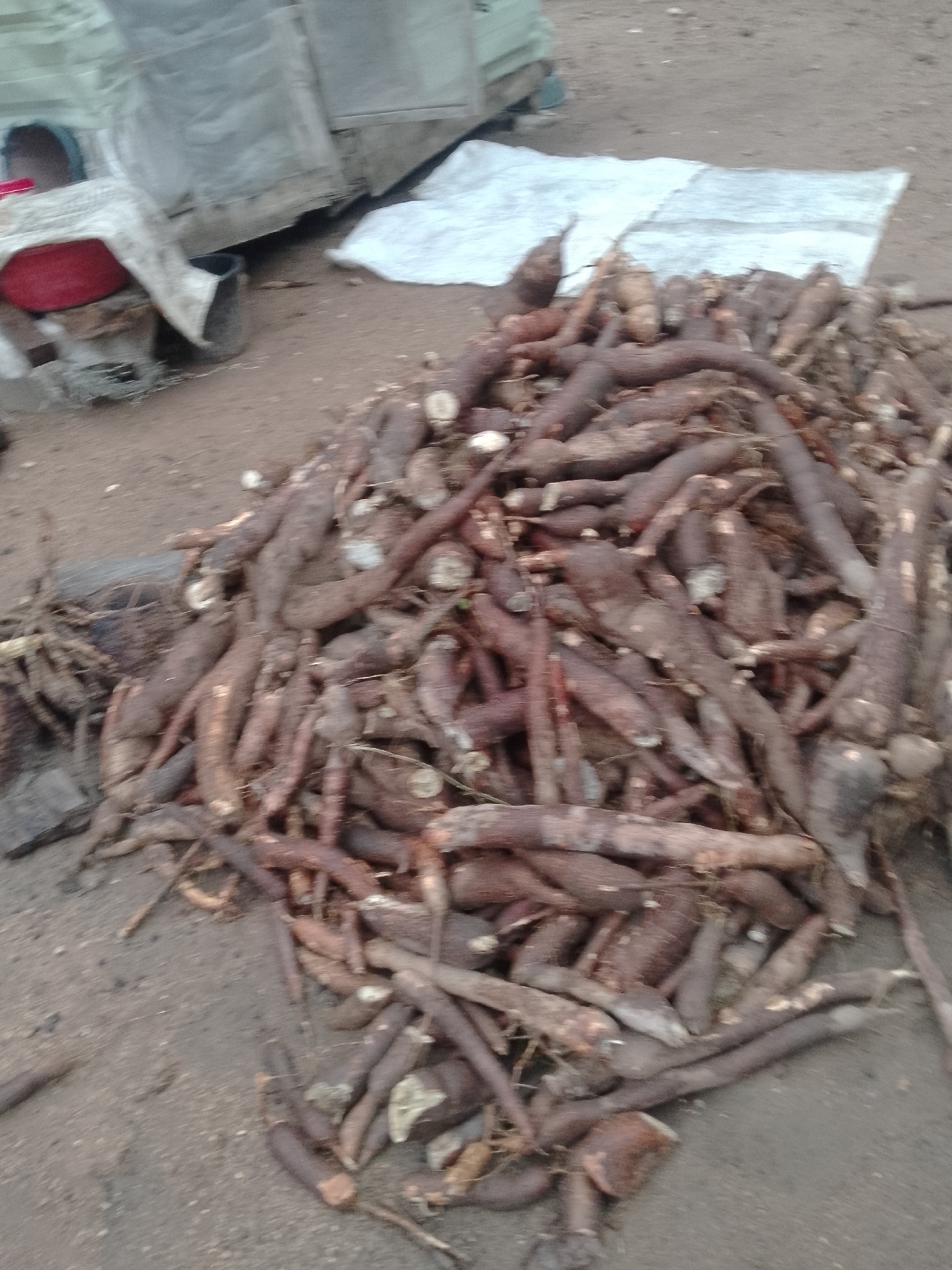 The image shows a pile of cassava roots on the ground. The roots are mostly brown with some white portions visible where they have been cut. Some debris and a white sheet are behind the cassava pile. The location is Unknown, Unknown.