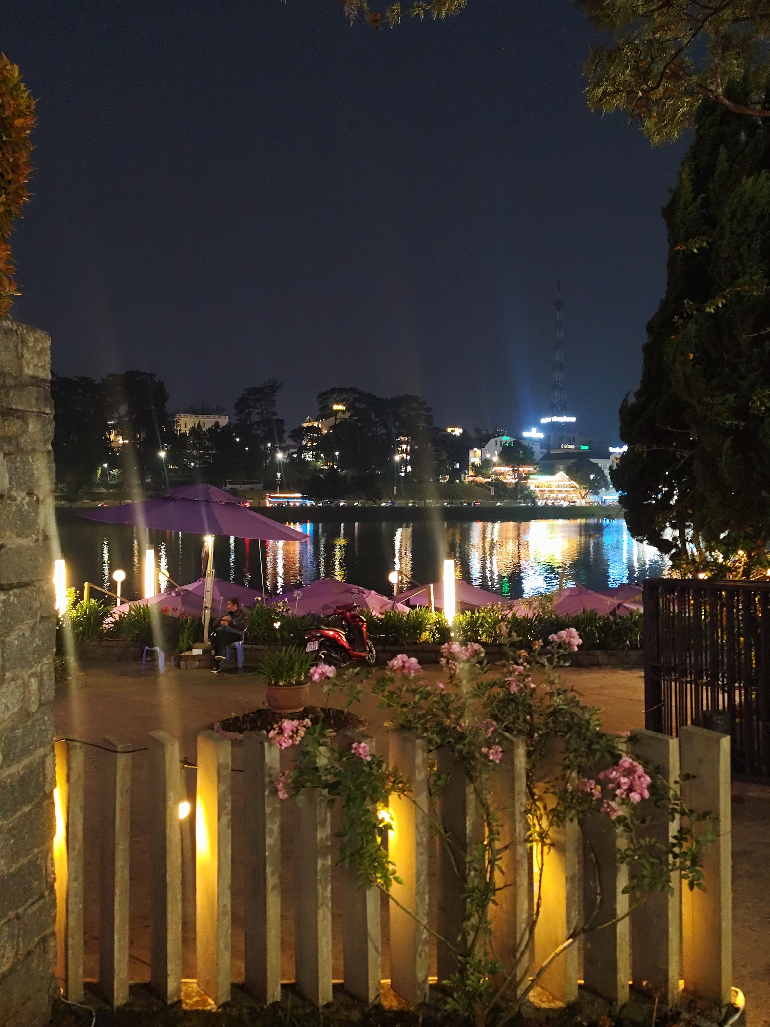 The image captures a nighttime view overlooking Xuan Huong Lake in Da Lat, Vietnam.
In the immediate foreground, to the left, a section of a stone wall is visible. Adjacent to it, a decorative fence comprised of vertical light-colored rectangular slabs is illuminated by warm yellow ground lights. Pink flowering plants, possibly roses, are intertwined around and over this fence. A dark metal gate or fence structure is present on the far right.
The midground depicts a lakeside leisure area situated directly beside the dark water of Xuan Huong Lake. Several large, purple, dome-shaped umbrellas are set up across this area. Beneath one central umbrella, a single male individual is seated on a dark chair, oriented towards the left. A small blue plastic stool is positioned near him. A red scooter or moped, bearing a partially visible license plate beginning with "49-", is parked to the right of the seated person. The area is lit by multiple cylindrical white ground lights and features various potted plants.
The background showcases the opposite bank of Xuan Huong Lake, illuminated by a multitude of city lights. These lights cast vivid, elongated reflections onto the calm surface of the water. Prominent structures include several buildings with glowing signs, one appearing to reference "VINPEARL" and another "CAFÉ". A tall, slender transmission tower, identified as the Da Lat TV Tower, stands distinctly in the center-right background, emitting a bright vertical beam of light. The sky above is dark, indicative of nighttime, with no visible celestial bodies. Foliage from trees frames the upper corners of the image. The single visible person is observed seated; no active interactions are discernible.
