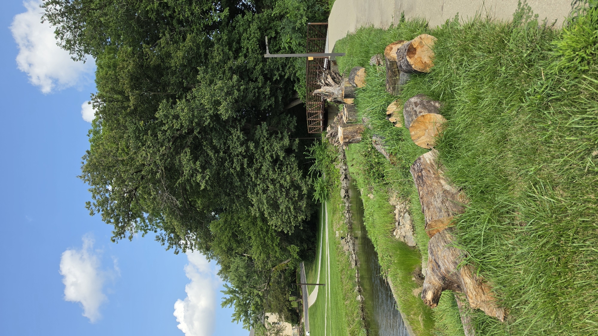 This is a vertical, eye-level, full shot of a park scene on a sunny day. In the foreground, several large tree stumps and logs lie scattered on a grassy bank. A paved pathway runs along the right side of the image, bordering the grass and the stream. The stream itself is dark and reflects the sky. Across the stream, a small wooden bridge with a metal railing crosses over it, leading to another paved pathway on the opposite bank. Beyond the bridge, a dense line of green trees forms the backdrop. In the far left of the image, a portion of a light-colored building with windows is visible behind some trees. The sky above is a bright blue with scattered white, fluffy clouds. This scene is located in Elgin, Illinois, United States of America, likely within a park area due to the presence of a stream, bridge, pathways, and abundant vegetation. There are no people visible in the image.
