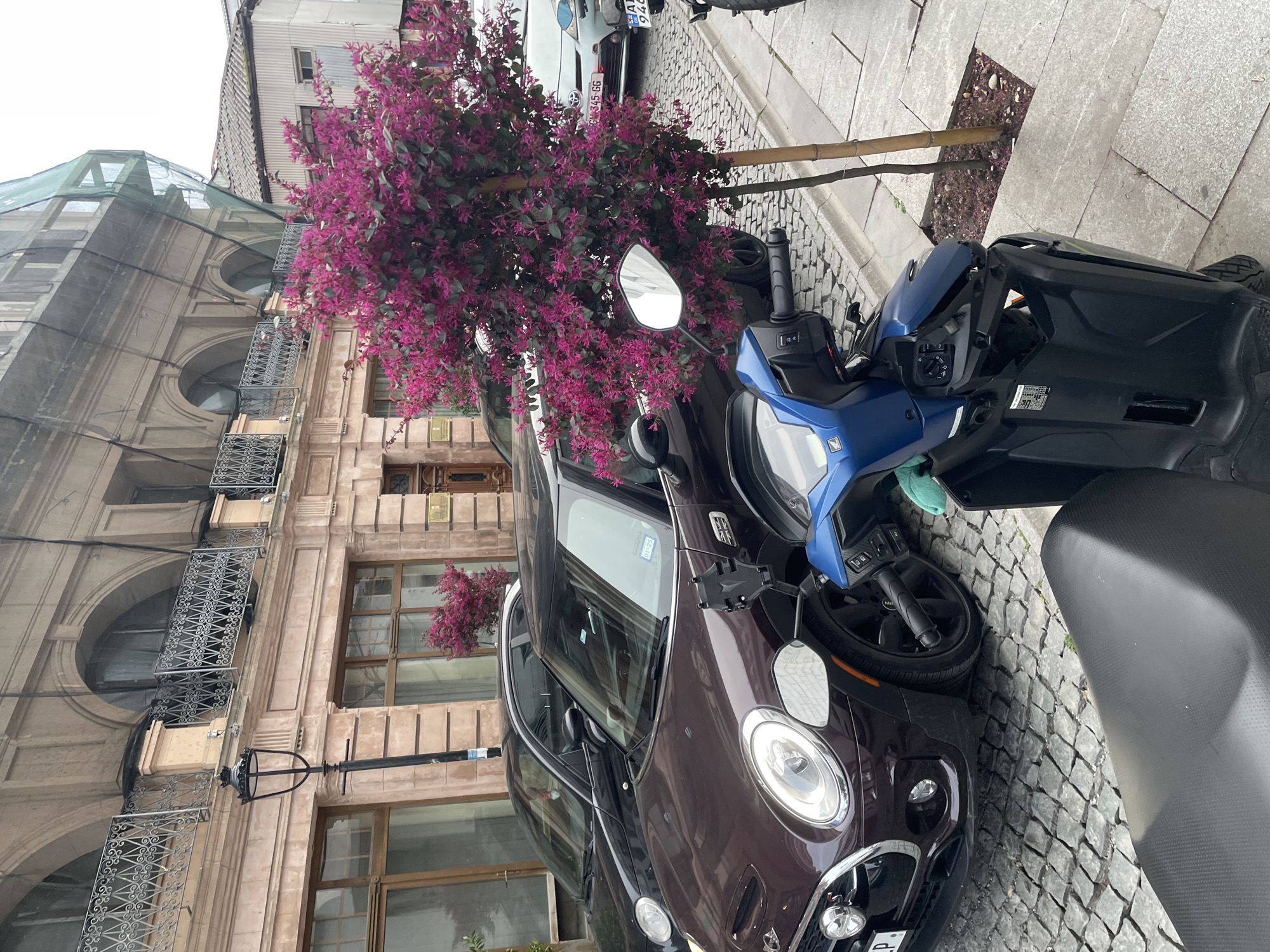 A street scene in Batumi, Georgia, depicts a burgundy Mini Cooper parked on a cobblestone street next to a blue scooter. A tree with vibrant purple flowers is planted nearby. The background features a building with classical architectural details, including arched windows and wrought iron balconies, covered with protective mesh. The scene seems to be captured from the perspective of someone standing on the sidewalk, possibly next to another parked vehicle.