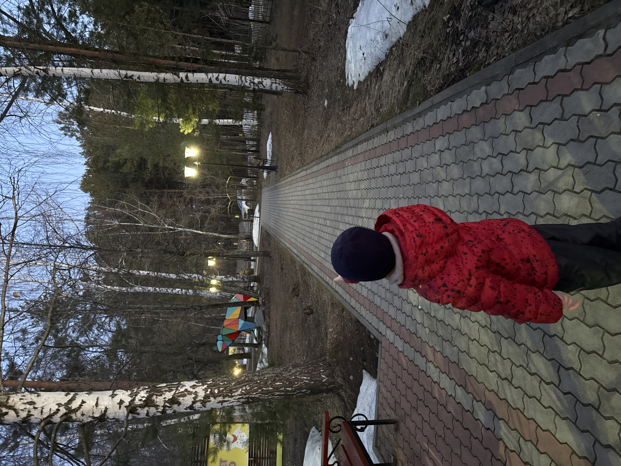 The vertically oriented image captures a person, likely a child, walking along a paved path in a park or recreational area in Chaikovsky, Russia. The individual, seen from behind, wears a red winter jacket with black speckles and a dark blue or black knit hat.
The path is constructed from interlocking gray and reddish-brown pavers, stretching into the distance. On both sides of the path, the ground is covered with dry leaves and sparse vegetation, with several patches of melting snow indicating a late winter or early spring setting. Tall trees, including distinctive white-barked birch trees and dark green conifers, line the path.
Several streetlights with yellow glows illuminate the scene, suggesting it is dusk or early evening. Further down the path on the left, a colorful, abstract, geometric sculpture resembling an animal (possibly a deer or dog) adds a playful element. A red park bench is partially visible in the bottom left, next to a yellow sign with some illegible text. The sky overhead is a pale blue. The scene depicts a quiet, cold evening in a park.
