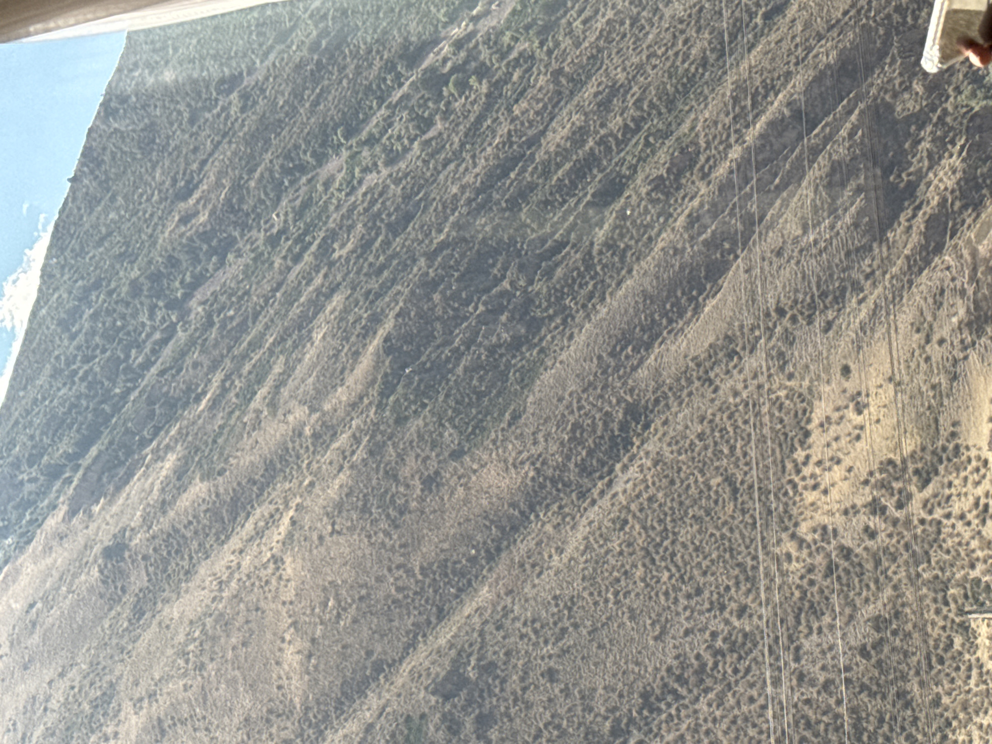 This is a photograph of a steep, dry, grassy mountainside in Cholok, Kyrgyzstan. Power lines are visible in the foreground, running horizontally across the image. The mountainside is covered in sparse, dry vegetation, with a few scattered trees or shrubs. The sky is visible at the top of the image, with a few white clouds. The overall impression is one of a rugged, arid landscape.