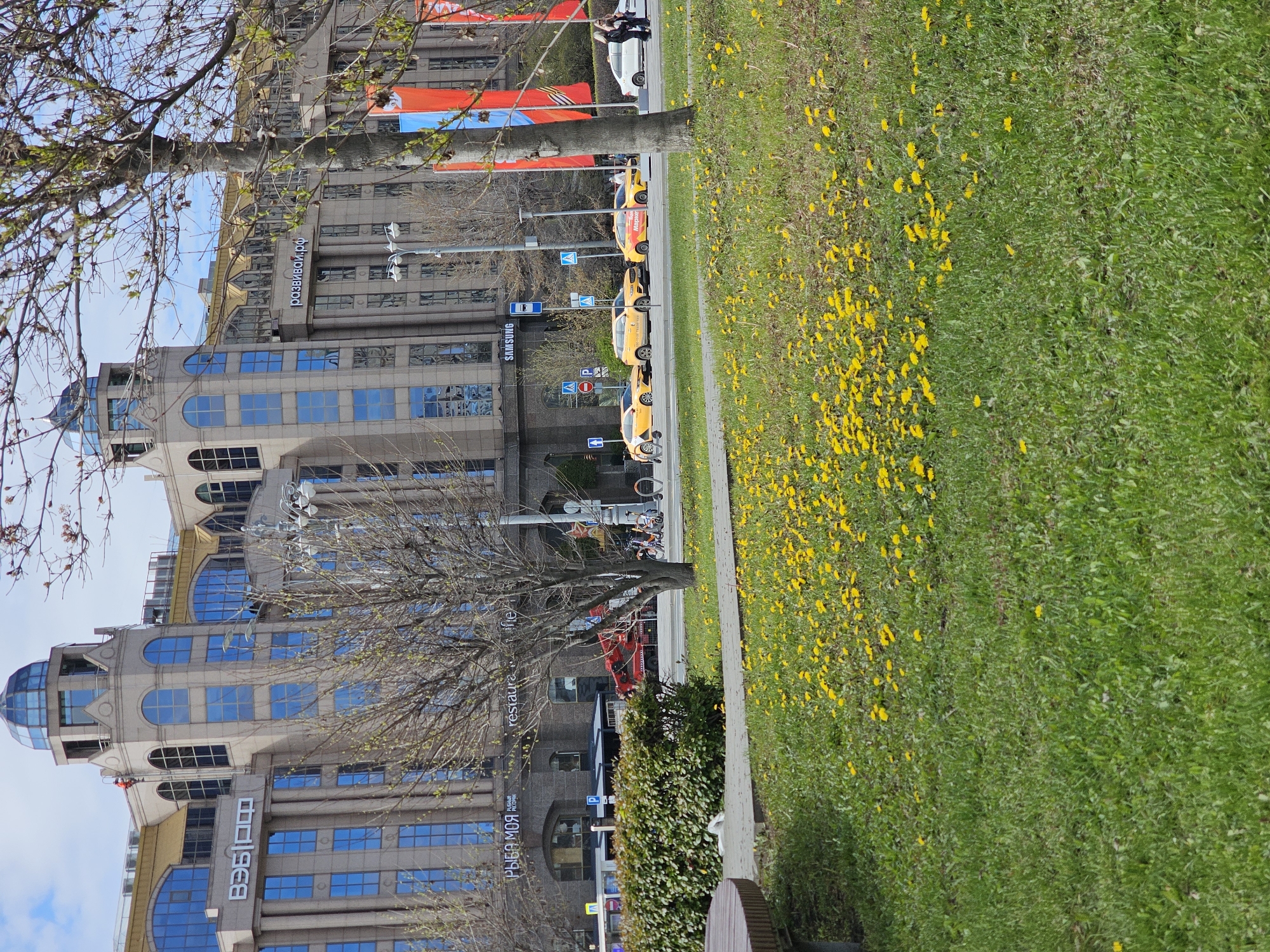 The image shows a street scene in Moscow, Russia. On the left, there is a multi-story building with blue-tinted windows and what appears to be an ornate architectural design at the top, resembling domes or turrets. Signage is visible on the building facade.
In the center of the frame, there are bare trees with visible branches, suggesting early spring or late fall. A line of yellow taxis is parked along the street. A red bus is also visible along with other vehicles.
On the right, there is a grassy area covered with yellow dandelions, indicating that it might be springtime. A paved pathway separates the grass from the street. A bench is visible at the very bottom right.
People are seen standing along the street, and the overall environment suggests a busy urban area.