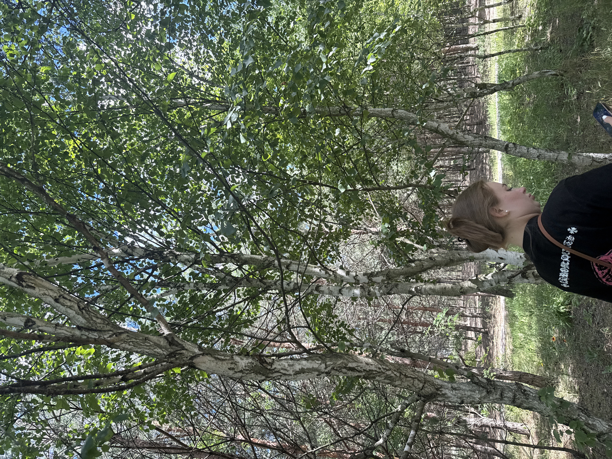The image depicts a young woman lying down in a forest setting, looking upwards. She has light brown hair pulled back and is wearing a black t-shirt with a white graphic. Her right hand is holding a smartphone.
The scene is a birch forest, characterized by the white bark of the trees and the dense green foliage. The sunlight filters through the leaves, creating a dappled effect on the forest floor and the trees. The ground is covered in grass and some fallen leaves. In the background, a path or clearing is visible, lined with more birch trees. The image is oriented vertically, giving a sense of looking up into the canopy.
The overall impression is one of relaxation and engagement with nature, possibly a moment of quiet contemplation or use of technology amidst the natural surroundings. The time of day appears to be daytime, with bright sunlight suggesting fair weather. The location context of Obukhivka, Ukraine, places this scene within a specific geographical area known for its natural landscapes. There is no visible text in the image.