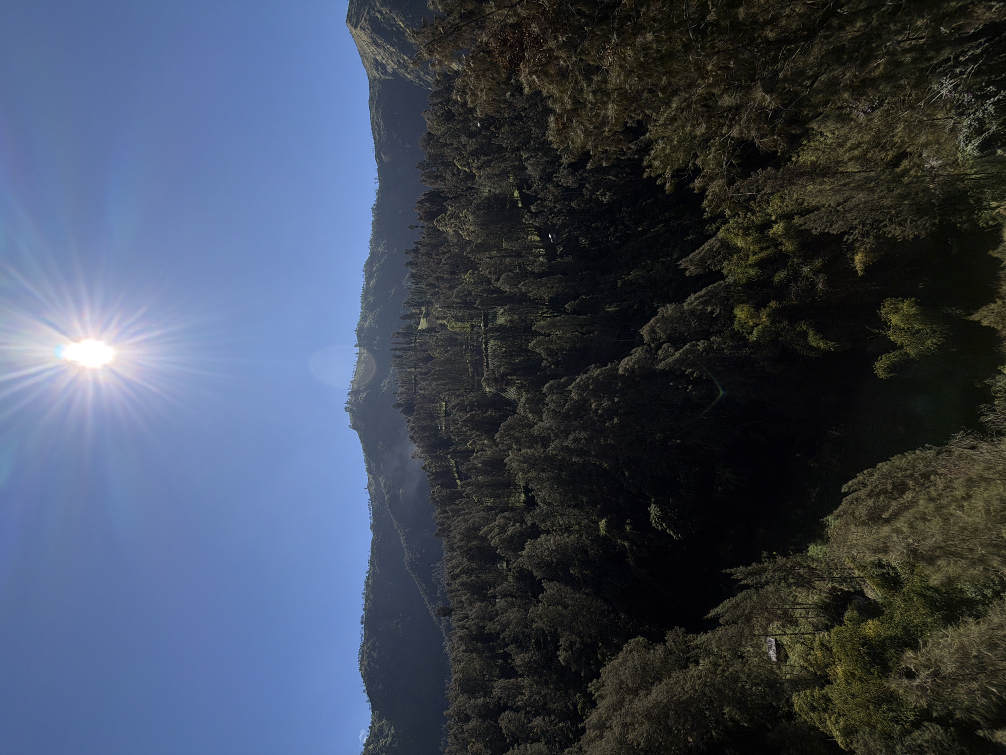 A wide-angle shot captures a sun-drenched mountain landscape in Jetak, Indonesia, under a clear blue sky. The sun, positioned in the upper center, emits bright rays, creating a lens flare. The foreground is dominated by a dense forest, with trees of varying heights and shades of green and brown covering the undulating terrain. Some of the trees are quite tall and slender, while others are more bush-like. A small, dark-roofed structure, possibly a hut or a shed, is visible nestled amongst the trees on the left side of the frame. In the background, rolling hills and mountains are silhouetted against the sky, with some appearing hazy due to distance. The overall impression is one of natural beauty and tranquility.