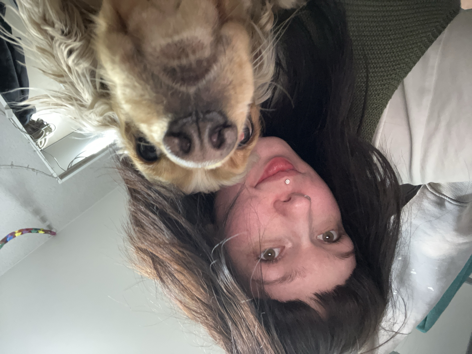 The image shows a person and a dog, viewed from a low angle looking upwards. The person has fair skin, dark brown hair with lighter brown highlights, and brown eyes. They have a lip piercing on the left side of their upper lip. The dog is a light brown color with long, floppy ears and a wet nose. The background includes a white wall with a string of lights, a dark piece of clothing, a green knitted sweater, and a light-colored sweatshirt. There is no information to suggest the location is in the city of Chaikovsky, Russia.