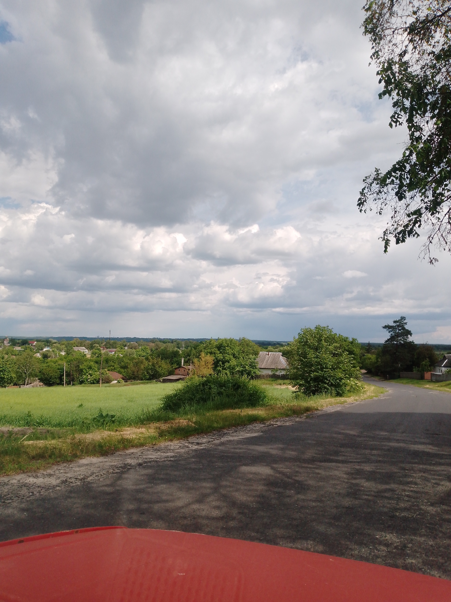 The image depicts a rural scene, possibly taken from inside a vehicle with a red hood visible in the foreground. A road curves into the distance, flanked by green vegetation. In the background, a landscape of fields and trees stretches out under a sky filled with heavy, grey clouds. Scattered houses and other buildings are visible among the trees. A tree branch with leaves partially obstructs the view in the upper right corner of the image. The location is unknown.