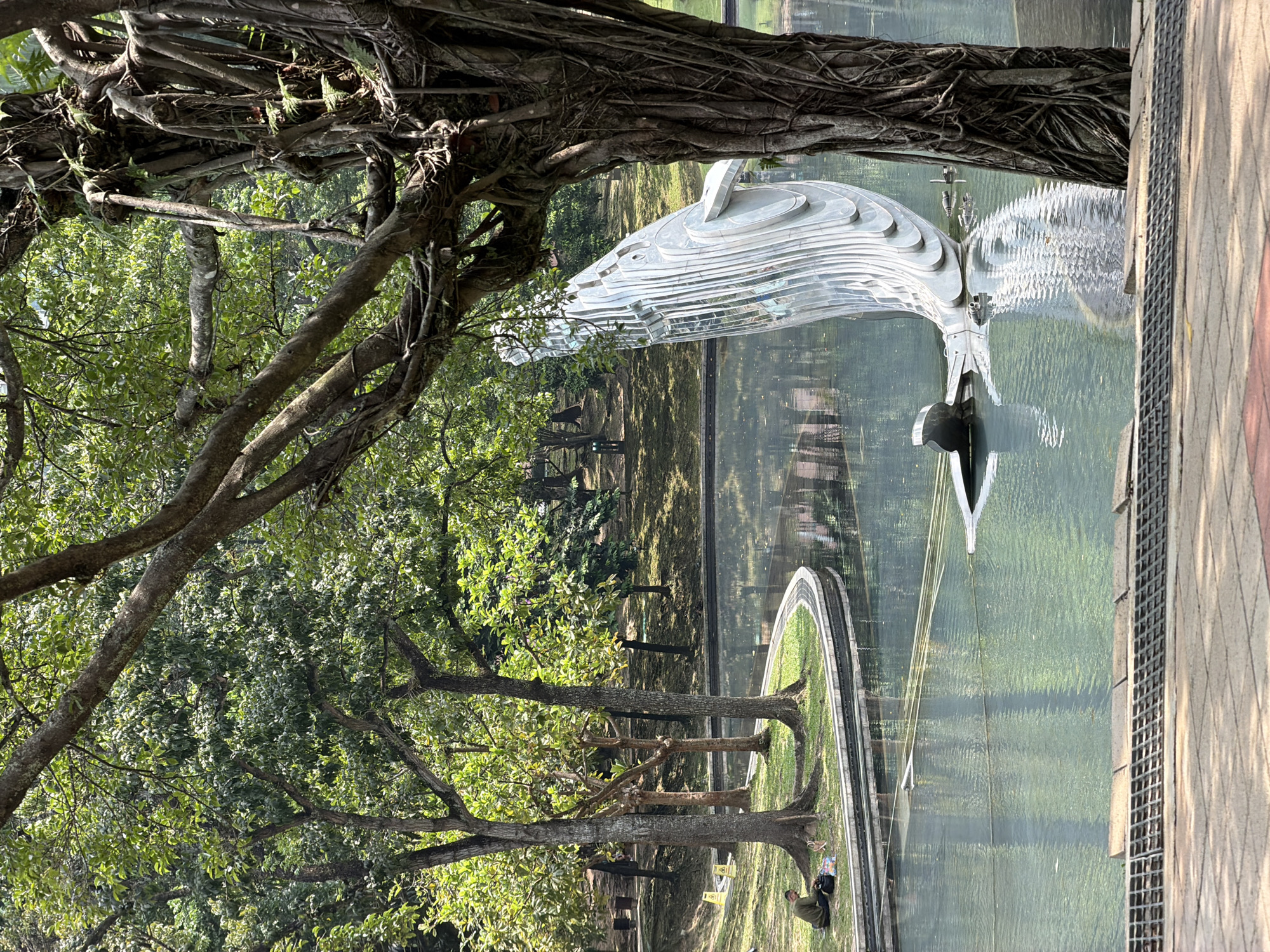 The image depicts a scene in Kuala Lumpur, Malaysia, featuring a modern sculpture in a body of water, likely a reflecting pool or a small lake, set within a park or garden environment. The sculpture, which appears to be made of layers of white or light-colored material, has a sleek, abstract design that gives the impression of a stylized bird or a wave. The water reflects the sculpture, creating a visual doubling effect.
The foreground and left side of the image are dominated by trees, with some branches and foliage obscuring parts of the scene. A large tree with thick, gnarled branches overhangs the top left corner of the frame.
Along the edge of the water feature, there is a grassy area with trees and a path, suggesting a park or landscaped garden setting. A person is sitting on the grass near a tree. The presence of additional trees and greenery in the background indicates a larger park area beyond the sculpture and water.
On the right edge of the frame, there is a paved walkway or path made of light-colored pavers. A metal grate or drainage system is visible along the edge of the walkway. The overall atmosphere is one of a tranquil urban oasis, blending natural elements with modern art and architecture.