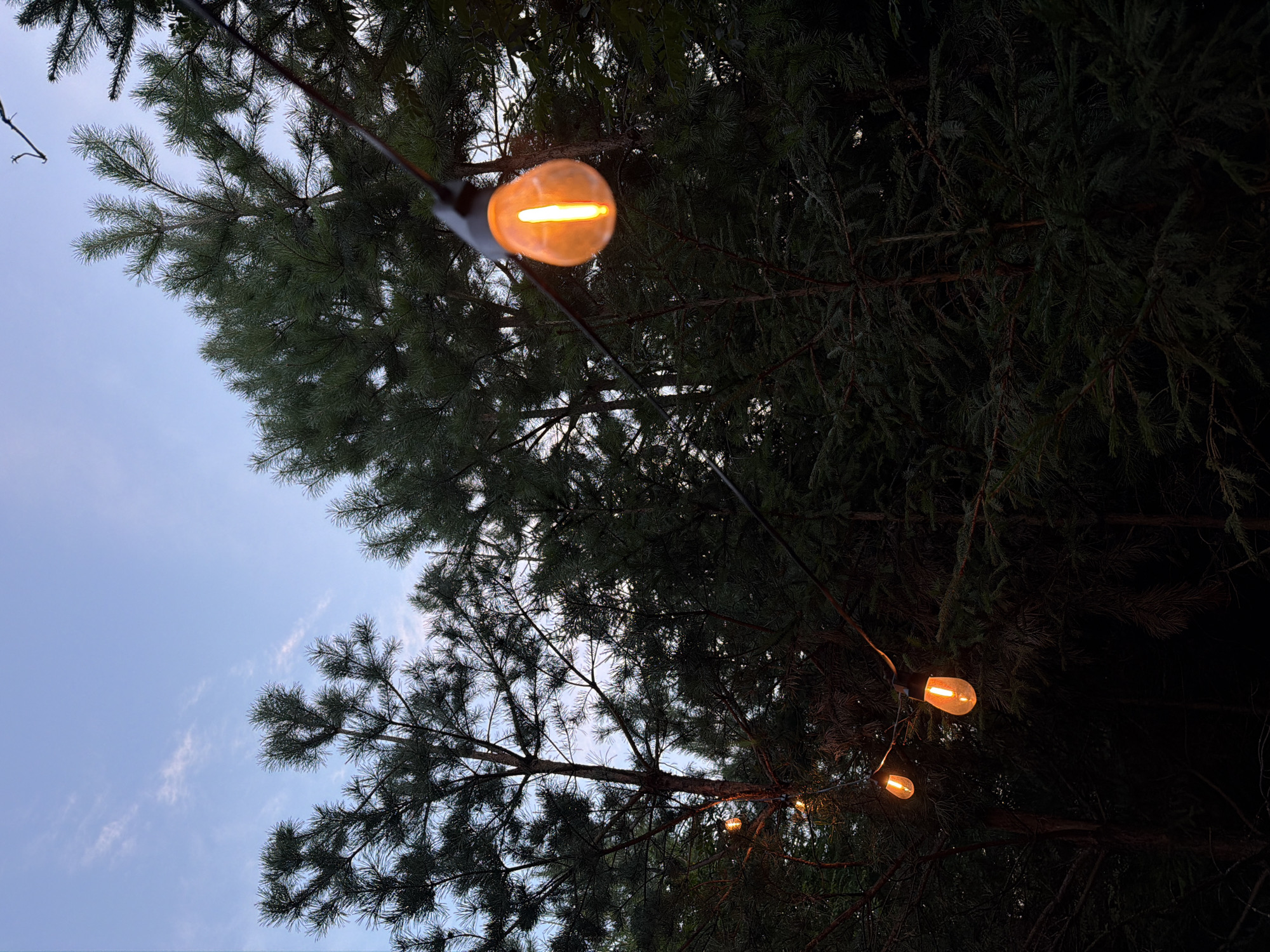 The image depicts an outdoor scene at dusk, likely in a wooded area. String lights with illuminated Edison bulbs hang across the frame, casting a warm, orange glow. These lights are strung between trees. The dominant vegetation consists of dark green pine trees, with some appearing denser than others. The sky above is a pale blue with wispy white clouds, indicating the transition from day to night. The overall atmosphere is serene and somewhat rustic. The location is identified as Kuliki, Russia. No people are visible in the image, and no actions or interactions are taking place.