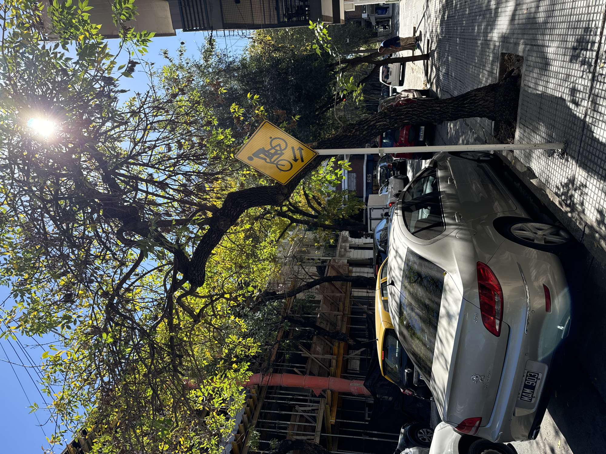 The image displays a sunny urban street scene in Buenos Aires, Argentina, viewed from a slightly elevated perspective looking along the pavement. Bright sunlight bursts through the dense green foliage of a large tree on the left, casting strong, geometric shadows across the checkered sidewalk.
Several cars are parked along the right curb of the street. In the foreground, a silver Peugeot 408 sedan is prominent, featuring the license plate "MAM 903" and the "408" model designation on its trunk, along with the "PEUGEOT" emblem. A yellow taxi is partially visible behind the silver car, followed by a red car and other vehicles further down the street.
A distinctive yellow diamond-shaped sign, indicating a shared bicycle and pedestrian path, is mounted on a pole near the center of the image. The sign depicts two figures, one riding a bicycle and another walking a bicycle, accompanied by two vertical arrows. The sign is partially obscured by the branches of the large tree.
Further down the street, a person in a blue shirt and khaki shorts is visible standing near another tree on the sidewalk. In the background, buildings line the street, with one appearing to be under construction, characterized by visible scaffolding and wooden supports. A partial sign on a building reads "RES". The sky is clear and blue, indicating daytime.