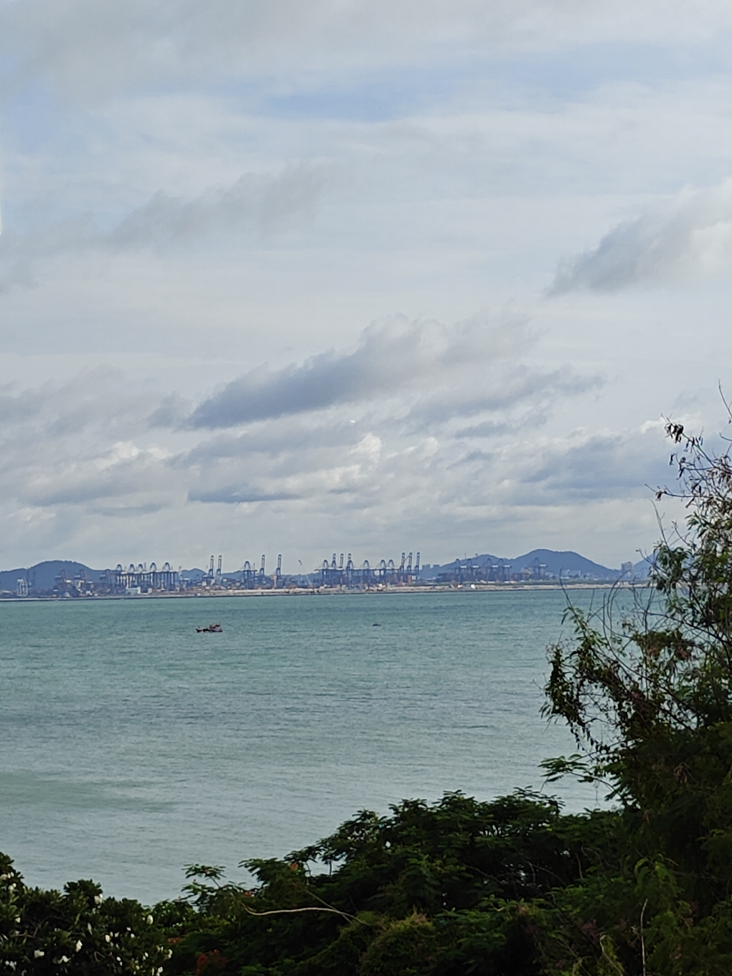 This is a medium shot, eye-level, outdoor, daytime photograph of a harbor scene in Pattaya City, Thailand. In the distance, a long line of tall, blue cranes is visible against a hazy sky with scattered clouds. The cranes suggest a large port or industrial area. The water in the foreground is a muted teal color with gentle ripples. A small, dark boat is visible in the middle ground of the water. The bottom of the frame is filled with dense green foliage, partially obscuring the view of the water and the distant port. The foliage consists of various types of trees and bushes, with some lighter-colored flowers visible on the left side. The overall atmosphere is slightly overcast.