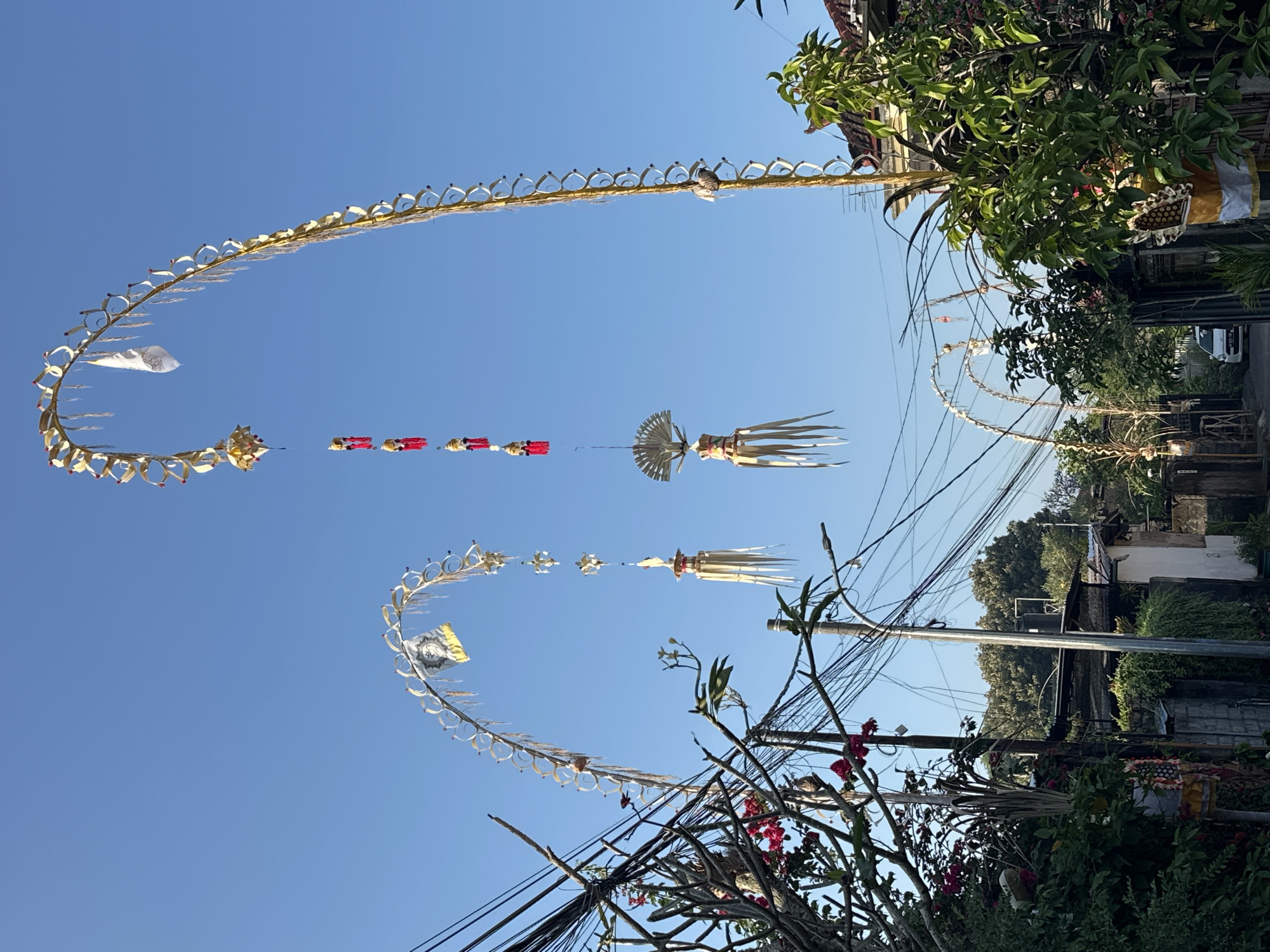 In the city of North Kuta, Indonesia, a street scene unfolds under a clear blue sky, with ornate Balinese decorations, known as Penjor, adorning the path. These traditional bamboo poles, reaching skyward and curved into arches, are elaborately decorated with woven palm leaves, white flags, and small red and gold ornaments.
On the left side of the street, lush green foliage and vibrant red flowers cascade over a tangled mass of electrical wires, creating a stark contrast between nature and infrastructure. A tall, slender utility pole stands prominently, further contributing to the dense network of wires crisscrossing the sky.
Further down the street, another Penjor can be seen, its graceful arch mirroring those in the foreground. Beyond this, a narrow, unpaved path leads into the distance, flanked by traditional Indonesian homes with tiled roofs and intricately carved wooden gates. A white car is parked partially obscured on the right side of the path.
The overall impression is one of a vibrant, culturally rich street, where the spiritual traditions of Bali are interwoven with the everyday realities of a bustling Indonesian city. The scene is bathed in the bright, warm light of what appears to be early morning or late afternoon.