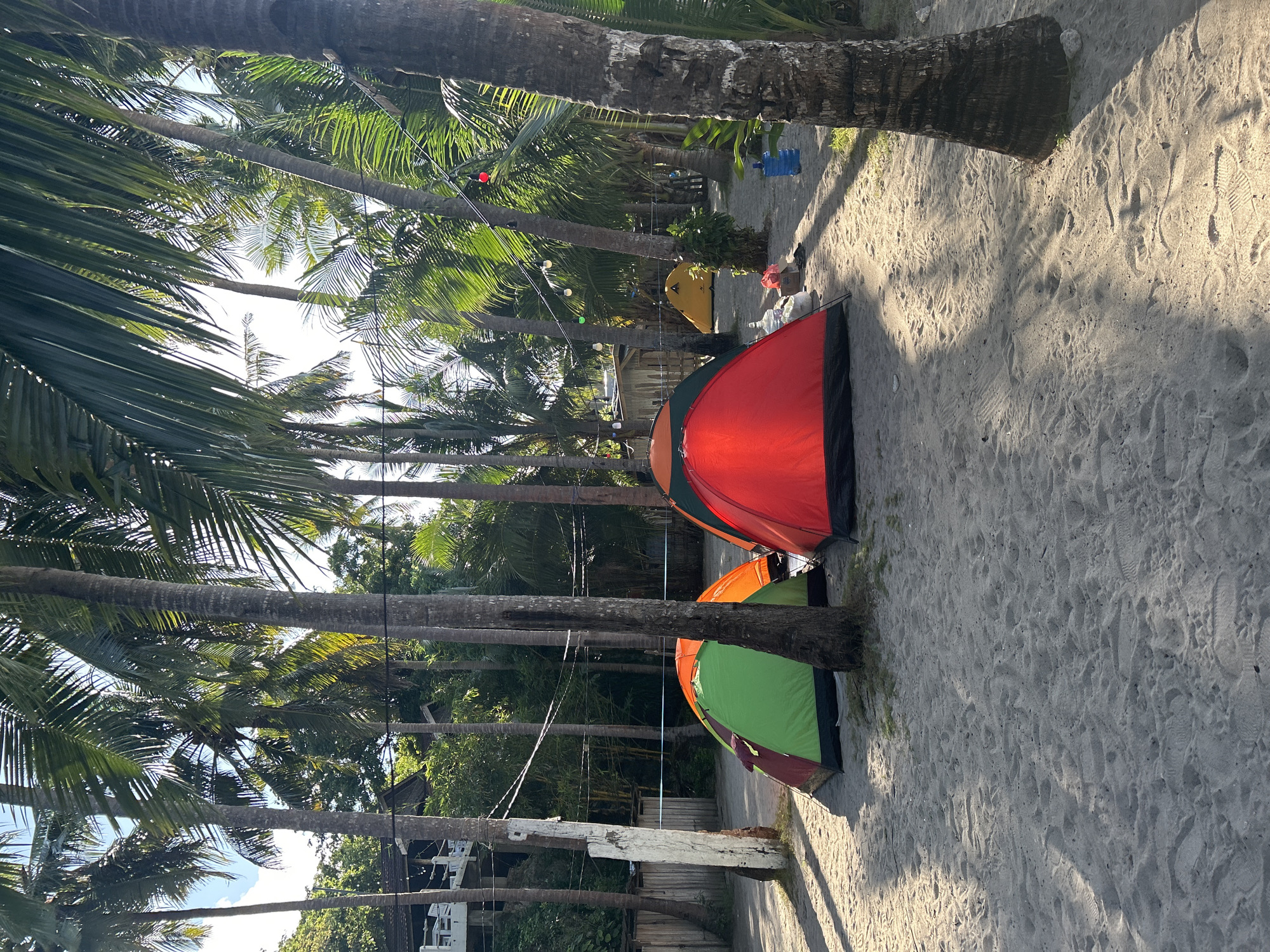 A beach campsite is set up on the sand, with several tents scattered among palm trees. In the foreground, a red and black tent is prominently displayed, its fabric illuminated by sunlight. To its left, a green and red tent is visible, partially obscured by the red tent and a palm tree trunk. Further back, an orange tent is seen behind the green tent, and a yellow tent is nestled deeper among the trees. The area is sandy with visible footprints. Palm trees dominate the scene, casting shadows on the ground. In the background, there appears to be some buildings and vegetation, suggesting a tropical environment. String lights with colored bulbs are strung between the palm trees. There are also several large blue water jugs and some white bags on the sand. The lighting suggests it is daytime, with the sun casting distinct shadows. There are no people visible in the image.