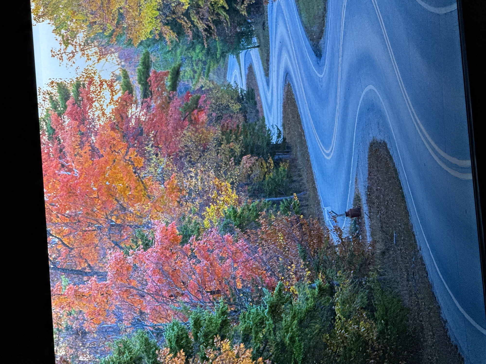 The image shows a winding road through a forest in autumn. The trees display a vibrant mix of red, orange, yellow, and green foliage. The road is paved and has double yellow lines. There are no people visible in the image. The environment appears to be a rural or natural setting, possibly a park or a scenic route. The lighting suggests it is daytime, with the sun filtering through the trees. The location in Saratov, Russia cannot be determined from the image.