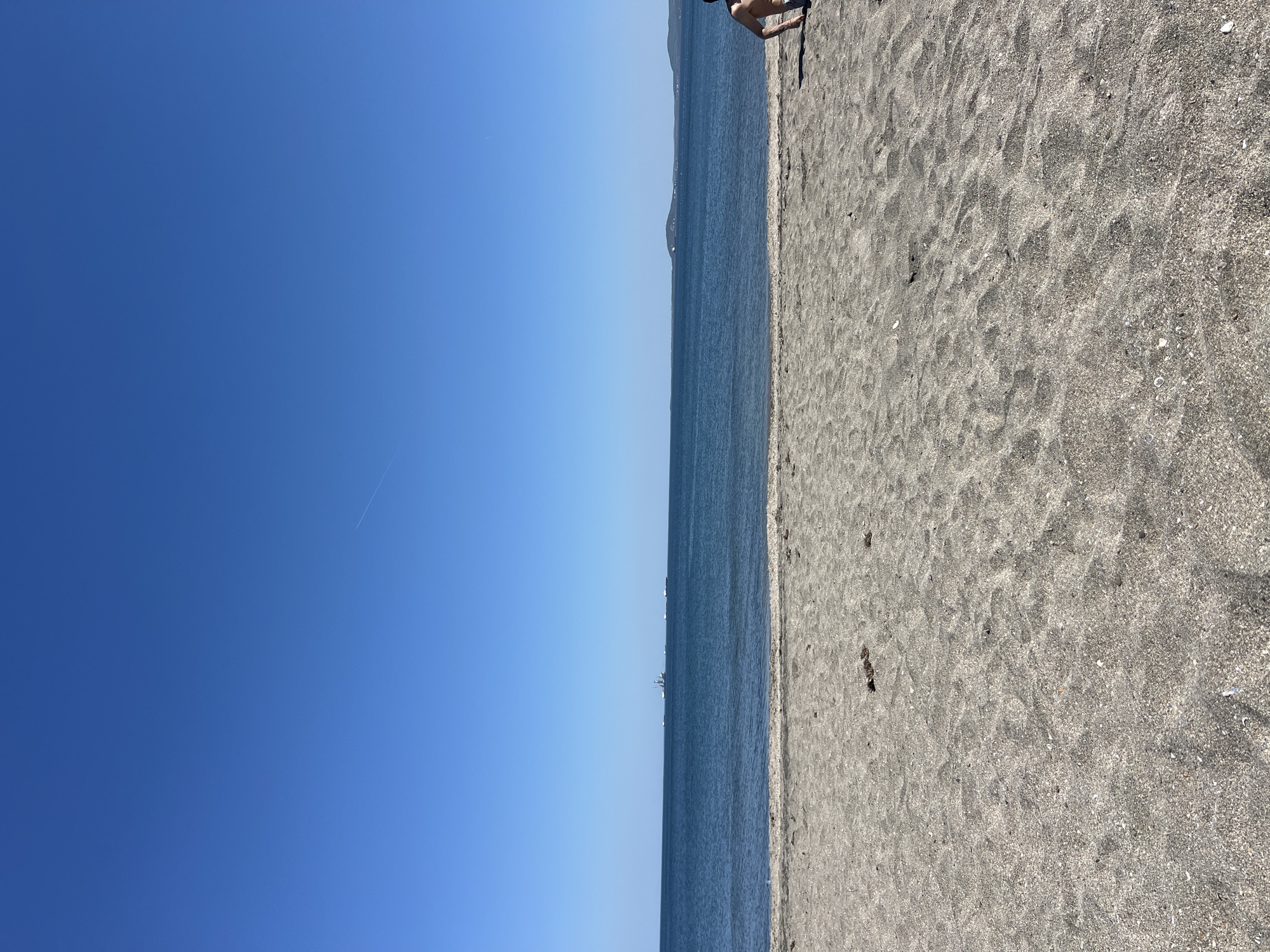 The image shows a beach scene in Burgas, Bulgaria. The photo is taken from a low angle, close to the ground, with the horizon dividing the frame roughly in half.
The left side of the frame is dominated by a clear, blue sky with a barely visible contrail.
The right side of the frame shows a gray-sand beach. The texture of the sand is visible, and small debris are scattered on the surface. Along the top edge of the sand, there is a man who is in the frame.
Between the sky and the beach is the sea.
Overall, the image presents a typical beach scene on a sunny day in Burgas, Bulgaria.