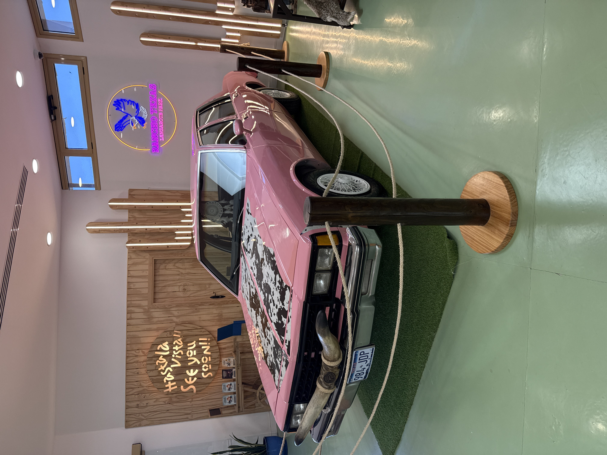 This image captures an indoor scene, likely within a themed establishment such as a restaurant, park, or entertainment venue, located in Tías, Spain. The central focus is a vintage-style car, painted a vibrant pink with a distinctive black and white cow-print pattern covering its hood. A large, curved bull horn is prominently mounted on the front bumper. The car is displayed on a patch of green artificial turf and is cordoned off by a rope barrier supported by dark wooden posts with lighter wooden bases. The vehicle's license plate, "984 JDP," is visible.
The floor beyond the turf is a light, glossy mint green. The surrounding walls are a mix of plain white and slatted wooden panels, some of which feature integrated strip lighting. Natural light illuminates the space, streaming in through several rectangular windows positioned high on a white wall, suggesting it is daytime.
Two circular neon signs add to the themed decor. One, with purple and yellow neon, depicts a stylized blue eagle and clearly states "RANCHO TEXAS LANZAROTE PARK." The other, featuring orange neon script on a wooden background, reads "HASTA LA VISTA! SEE YOU SOON!" These signs, along with the car's aesthetic (pink, cow print, bull horn), contribute to a strong Western or Texas-themed atmosphere. No people are visible in the image, emphasizing the car and its surroundings as a static display.