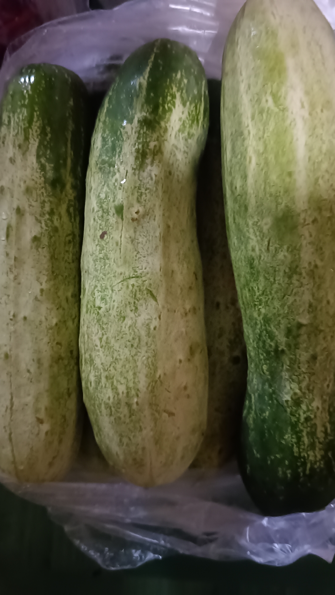 A close-up, overhead shot shows three cucumbers in a clear plastic bag. The cucumbers are a light green color with darker green stripes. They are all about the same size and shape, and they appear to be fresh. The bag is partially open, and the cucumbers are resting on a dark surface. The background is blurred, but it appears to be a kitchen or pantry.