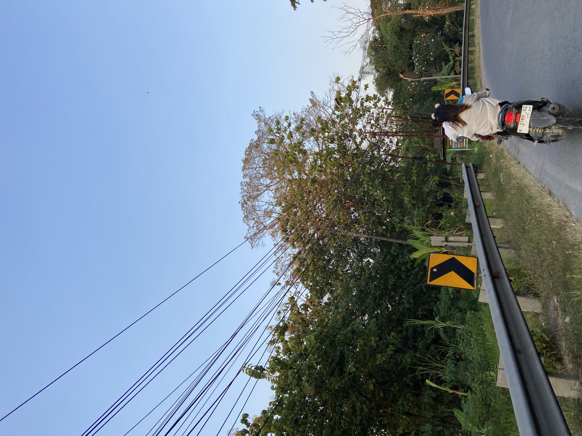 In Wirosari, Indonesia, a rural road winds through lush greenery under a clear blue sky. A motorbike carrying two individuals travels along the asphalt, their backs to the viewer. The driver, wearing a light-colored sweater, is followed by a passenger with a similar attire and fuzzy ear accessories. A guardrail borders the road, with a yellow and black chevron sign indicating a curve ahead. Tall trees and dense foliage line the roadside, with power lines crisscrossing overhead. The scene captures a moment of everyday life on a scenic Indonesian road.