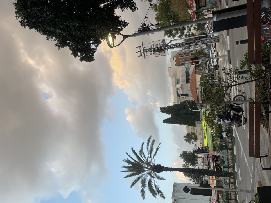 The image depicts an urban street scene in Raanana, Israel, under a partially cloudy sky with visible patches of blue and some clouds illuminated with golden light, suggesting late afternoon or early evening. In the immediate foreground, two dark-toned wooden benches are situated on a paved surface, separated by a dark cylindrical planter containing a small green bush. Beyond this, a multi-lane road with white pedestrian crosswalk markings is present. An individual on a brown motorcycle, wearing dark clothing, is observed moving rightward across the crosswalk. To the left of the road, a tall palm tree with green fronds stands adjacent to a light-colored, multi-story building. Below this building, several storefronts with Hebrew signage, including "אפילקיה" (Apilakia), line the street. On the right side of the image, an illuminated streetlamp with a yellowish-white light source is partially obscured by a dense, dark-leafed tree. Further down the street, a complex utility pole supports multiple wires and traffic signals, one of which displays a red light. Several vehicles are stationary on the roadway, consistent with the red traffic signal. Background structures include various multi-story buildings, some featuring red-tiled roofs, and a sign partially visible with the text "TAXI 24".