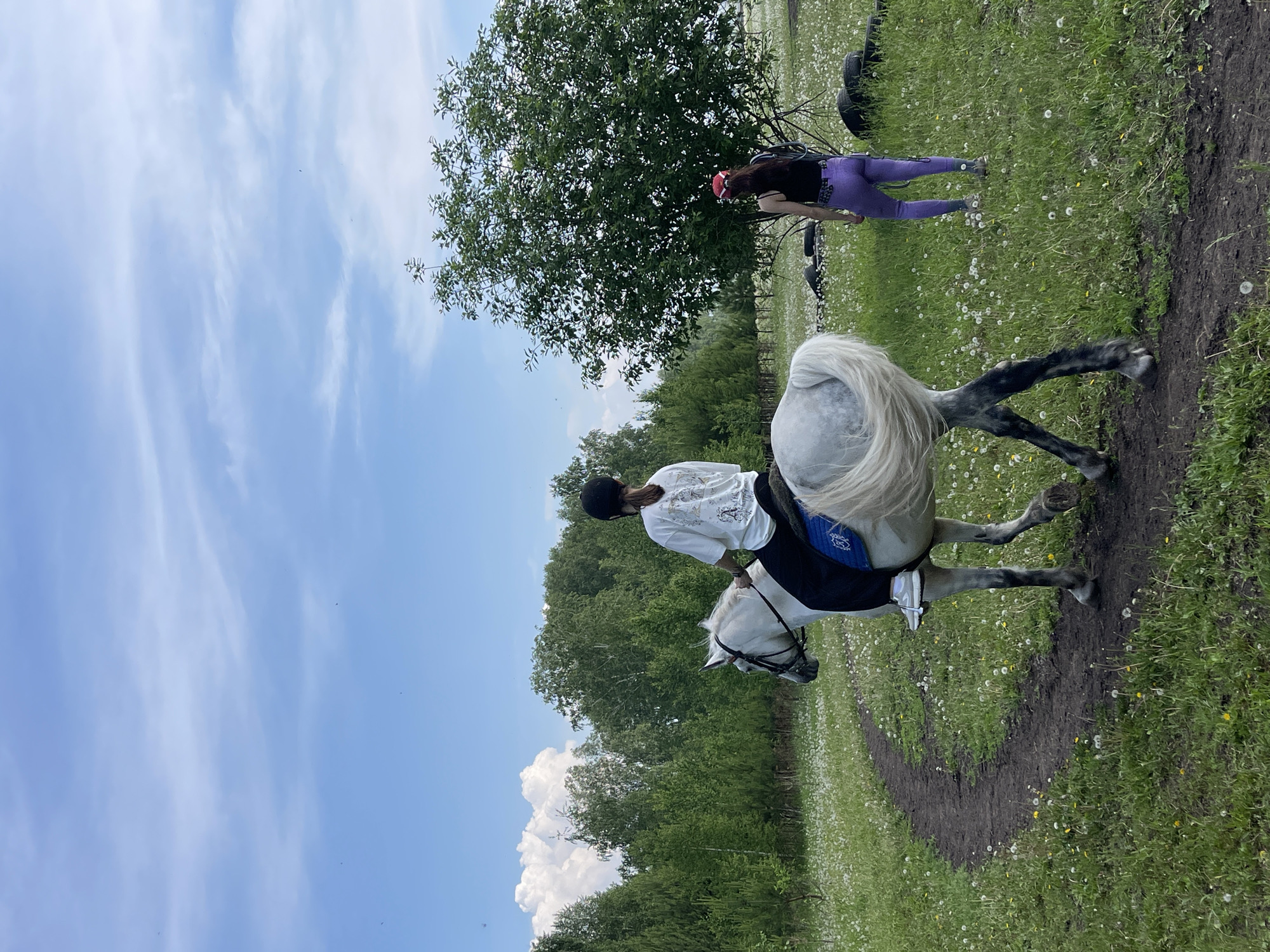 Two young women are in a grassy field with a dirt path. One woman is riding a white horse with a dark mane and tail, wearing a white t-shirt and a black helmet. The horse is on the dirt path, facing away from the camera and slightly to the left. The second woman is standing in the grass to the right of the horse, facing the horse and looking down, wearing a red cap, a black tank top, and purple leggings. A large tree is behind her. The field is covered in grass and dandelions. In the background, there is a line of trees. The sky is blue with white clouds. The scene appears to be a rural area outside of a city, possibly on the outskirts of Элита, Russia, given the prevalence of open fields and natural landscapes in the region.