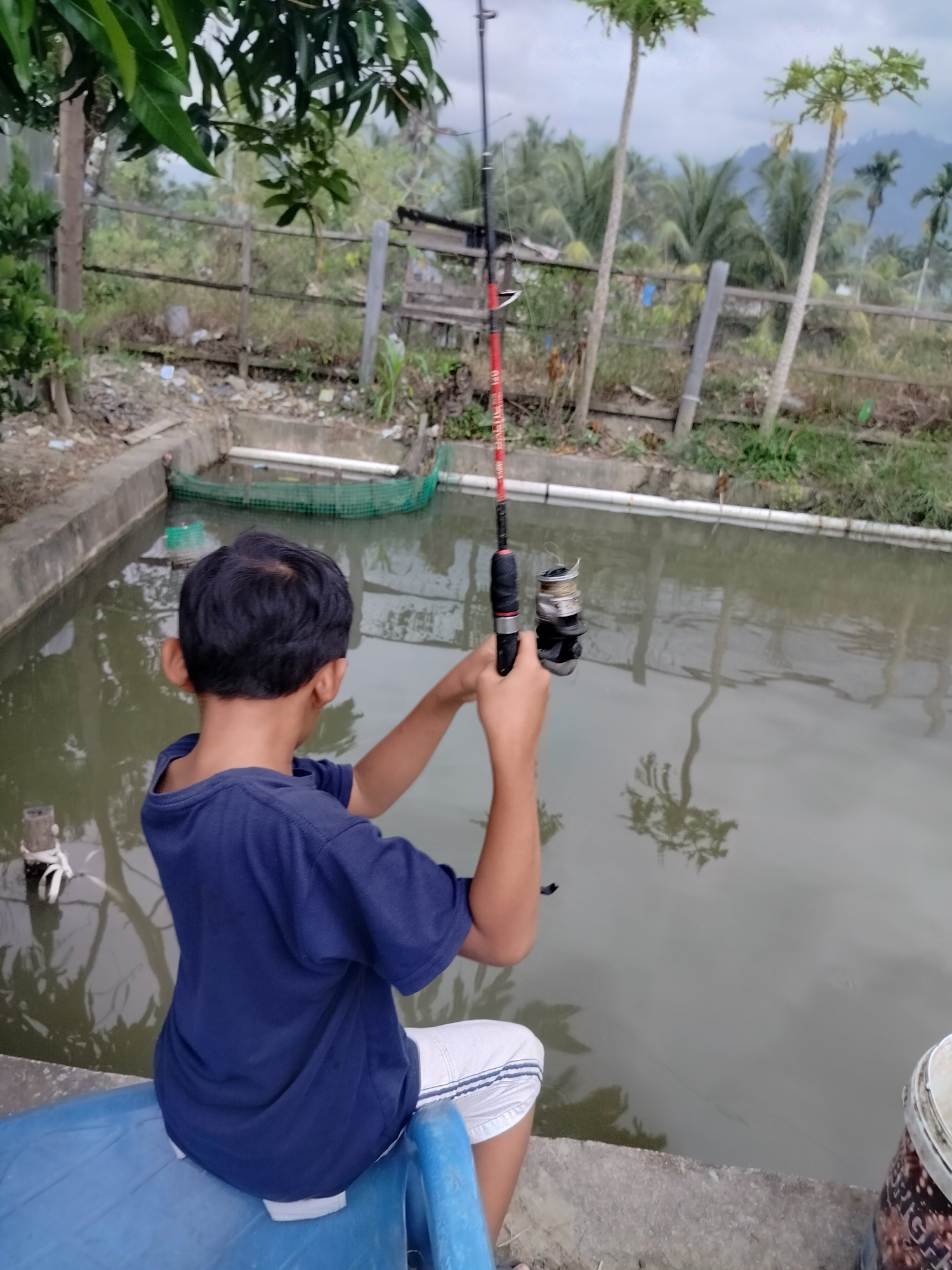 In Lembahalas, Indonesia, a young boy with dark hair is depicted from behind, seated on a blue plastic chair near a concrete pond. He is wearing a dark blue t-shirt and white shorts with blue stripes. The boy is actively fishing, holding a fishing rod with a reel, which extends over the murky water of the pond. The pond itself is rectangular with concrete edges and contains a green mesh net floating on the surface. The surrounding environment is rural, with vegetation, trees, and a wooden fence visible in the background. The sky is overcast, suggesting a cloudy day. The scene conveys a quiet moment of leisure in a somewhat unkempt outdoor setting.