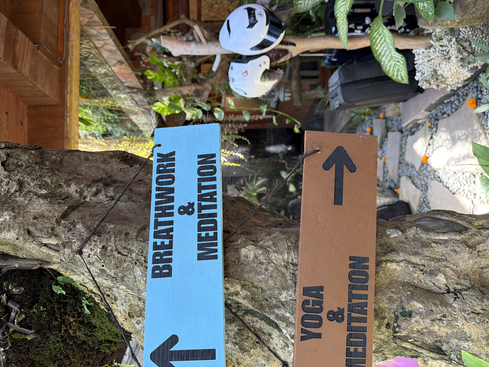 Two wooden directional signs are affixed to a tree trunk. The top sign, a light blue rectangle with black text, reads "BREATHWORK & MEDITATION" with an upward-pointing arrow on the left. The bottom sign, a brown rectangle with black text, reads "YOGA & MEDITATION" with a rightward-pointing arrow on the right. The signs appear to be located outdoors in a lush, green environment, possibly a garden or temple complex, given the presence of stone pathways, foliage, and a rustic wooden structure in the background. Two helmets, one white and one white with black accents, are hanging on a branch to the right of the tree. Luggage is visible in the background. The scene suggests an outdoor wellness or retreat center in or near Mengwi, Indonesia.