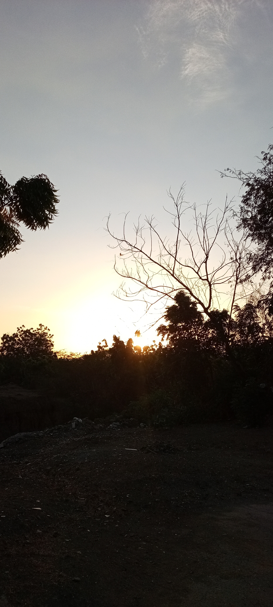 A medium shot captures a landscape scene likely at sunset. The lower portion of the frame is dominated by dark ground, possibly dirt or a paved road obscured by shadow. Above the ground, there is a dense line of trees and foliage, silhouetted against the sky. The setting sun is visible through the trees, appearing as a bright, diffused light source. Some bare tree branches are silhouetted in the foreground. The sky graduates from a pale yellow near the horizon to a light blue higher up, with some faint clouds visible in the upper right corner. The location is unknown.
