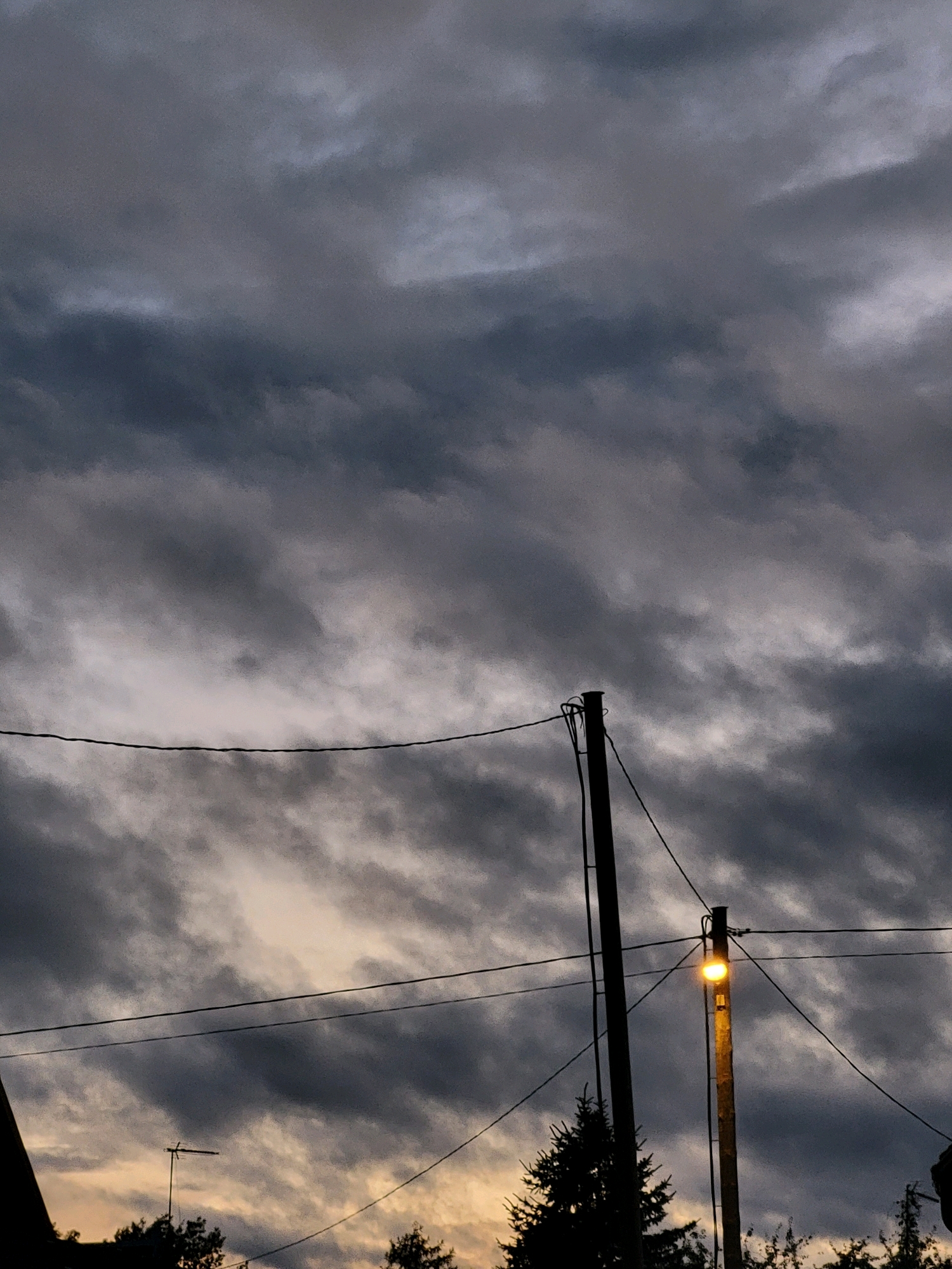 The image shows a street lamp lit against a cloudy, dark sky. In the foreground, two utility poles with wires crisscross the frame. One pole has a single yellow light on, while the other is dark. Silhouetted trees and a small antenna are visible at the bottom of the image, suggesting a residential or suburban area. The overall atmosphere is twilight or pre-storm, with muted colors and dramatic cloud formations. The scene is not geographically specific to Jelgava, Latvia.