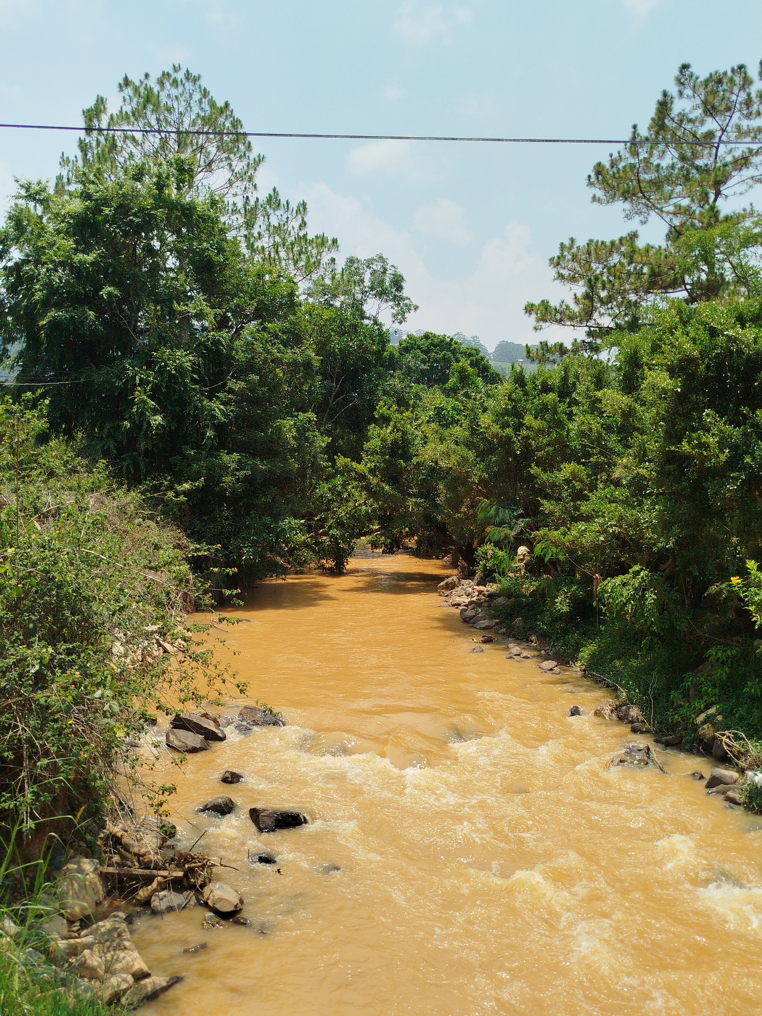 This image presents a natural landscape in Păng Tiêng 1, Vietnam, centered around a wide, flowing river. The river is a dominant feature, characterized by its distinctive muddy, reddish-brown color, which suggests high sediment content. Visible currents and patches of white froth indicate a moderate flow, especially in the foreground where several dark rocks are partially submerged or line the banks.
Both sides of the river are bordered by dense, lush green vegetation. A variety of trees and bushes create a verdant corridor, with taller, pine-like trees reaching towards the sky in the upper part of the frame. The foliage appears healthy and abundant, consistent with a tropical environment. The sky above is a clear, pale blue with scattered white clouds, suggesting bright, fair weather. A single, dark power line is visible stretching horizontally across the upper portion of the frame.
The photograph was taken during the day, likely under strong sunlight, as evidenced by the clear illumination and lack of deep shadows. No people or visible text are present in the image. The scene conveys a sense of untouched nature and the dynamic flow of the river within a vibrant green setting.